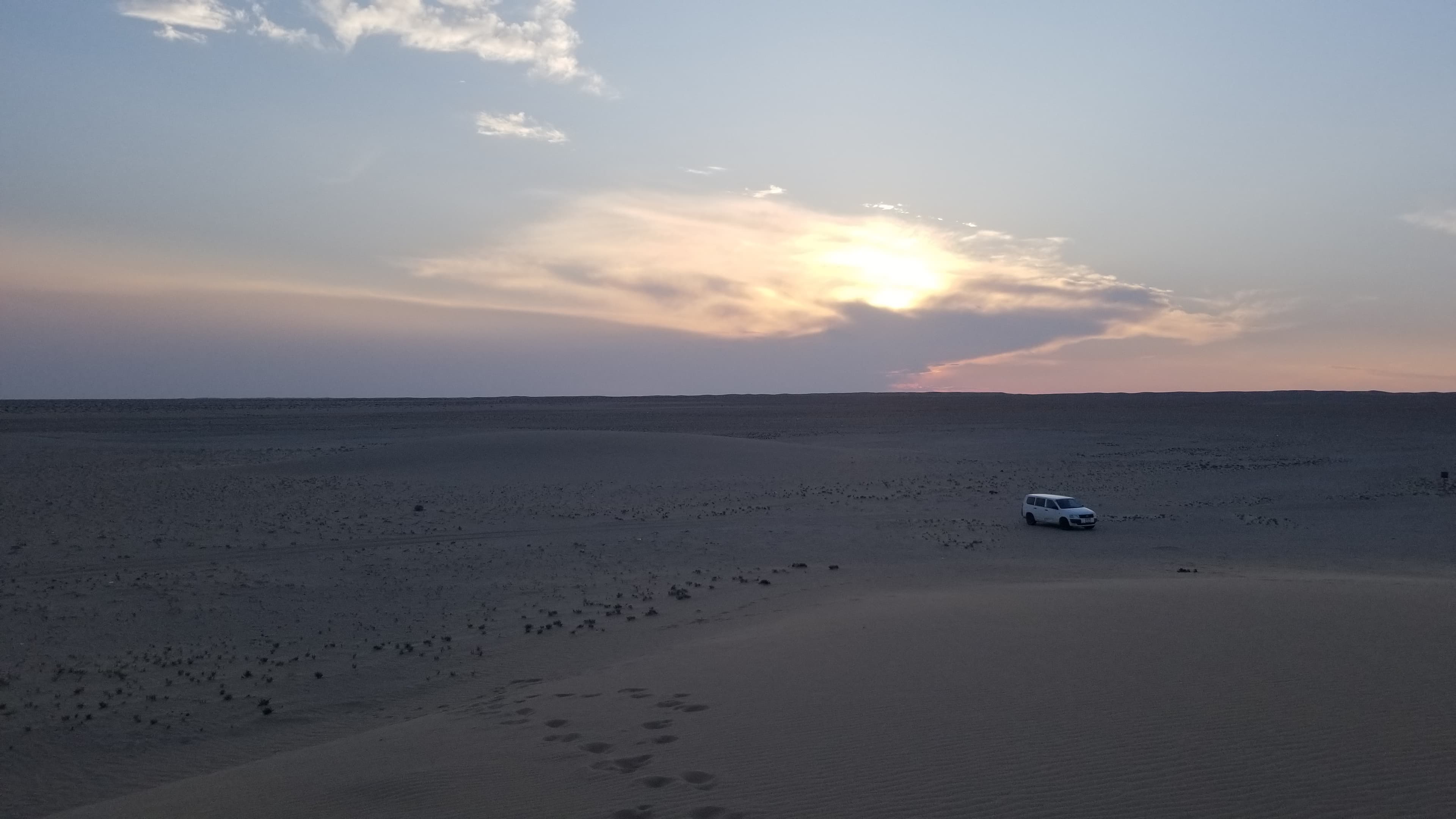 Mongolian Gobi desert dune 115