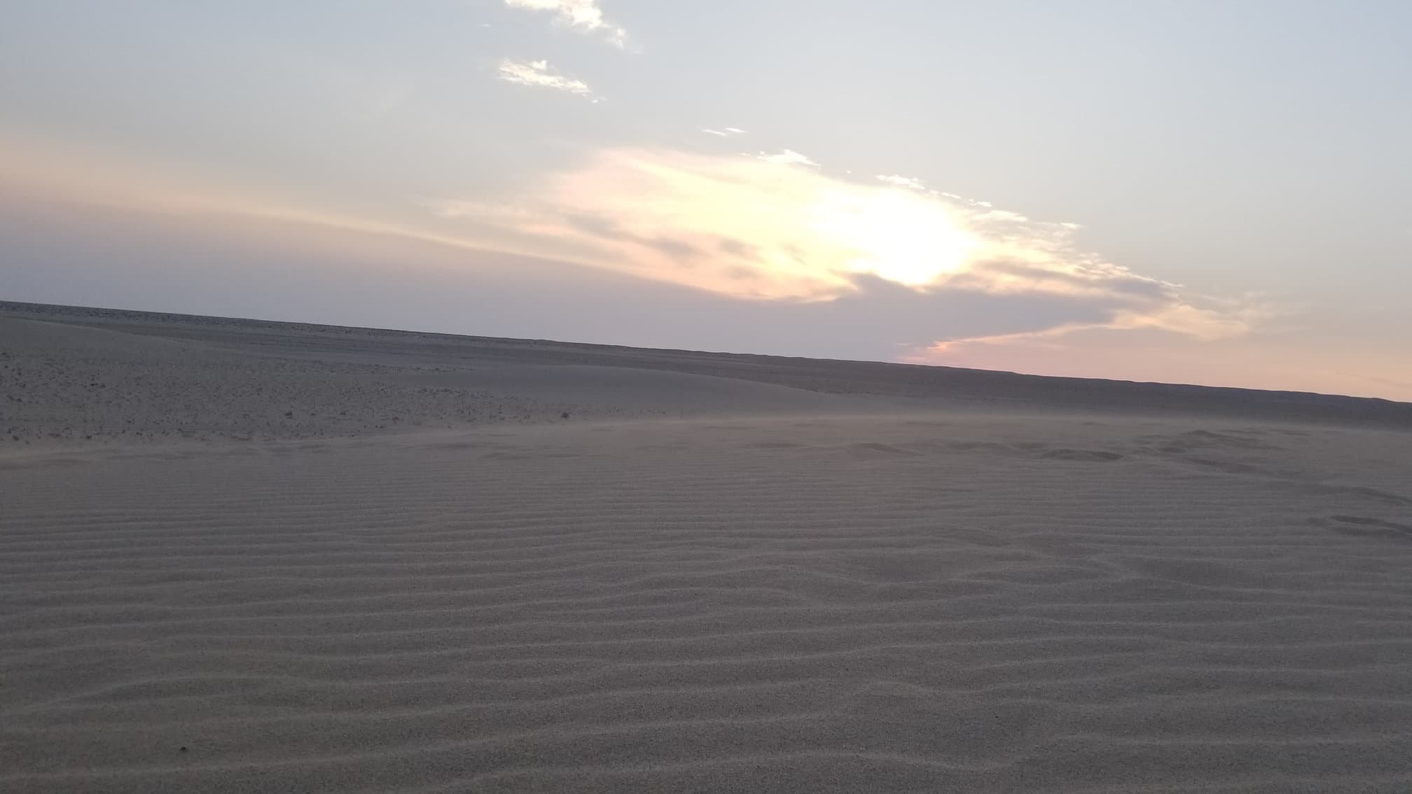 Mongolian Gobi desert dune 1168