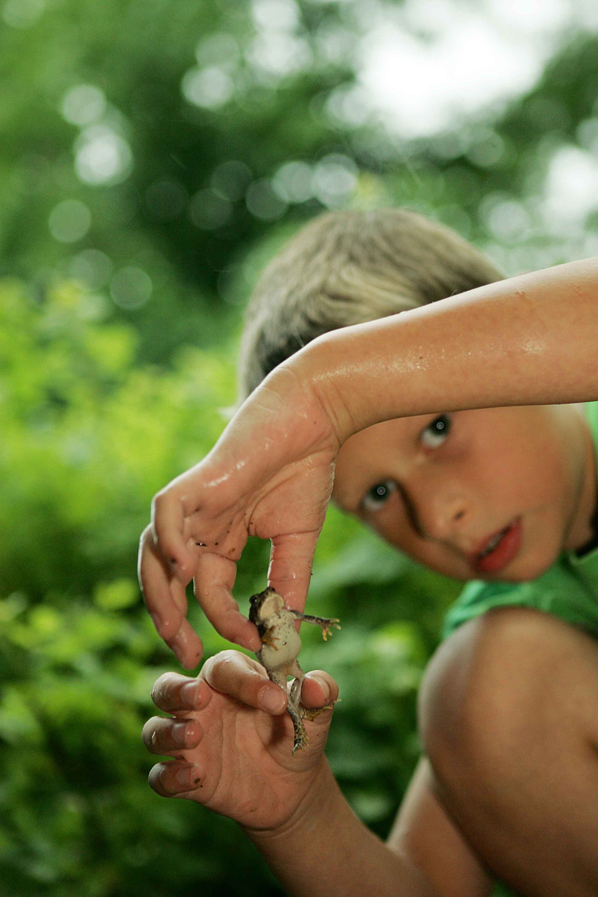 Cute child boy playing with frog