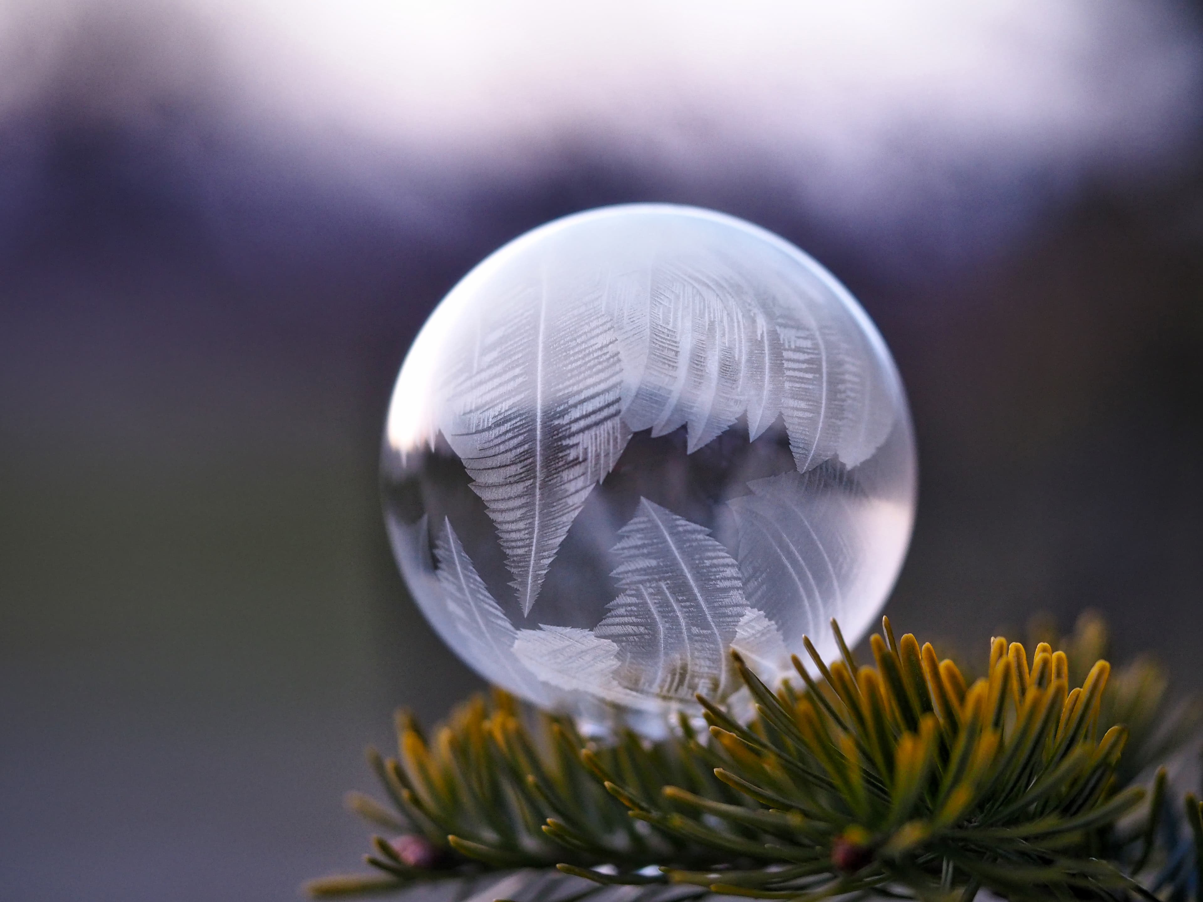 Frozen water droplet (Unsplash)