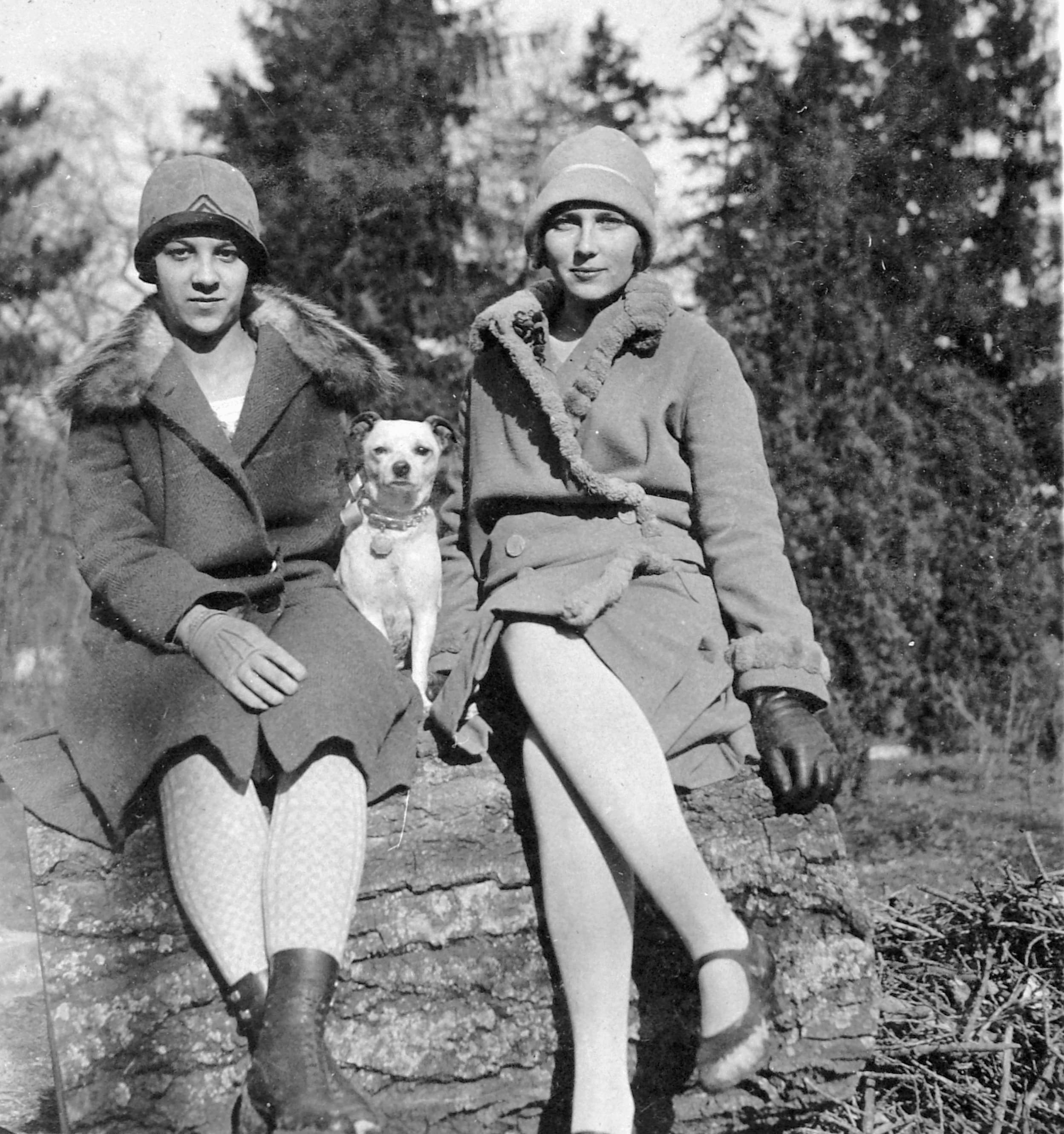 Dog, double portrait Fortepan 2720