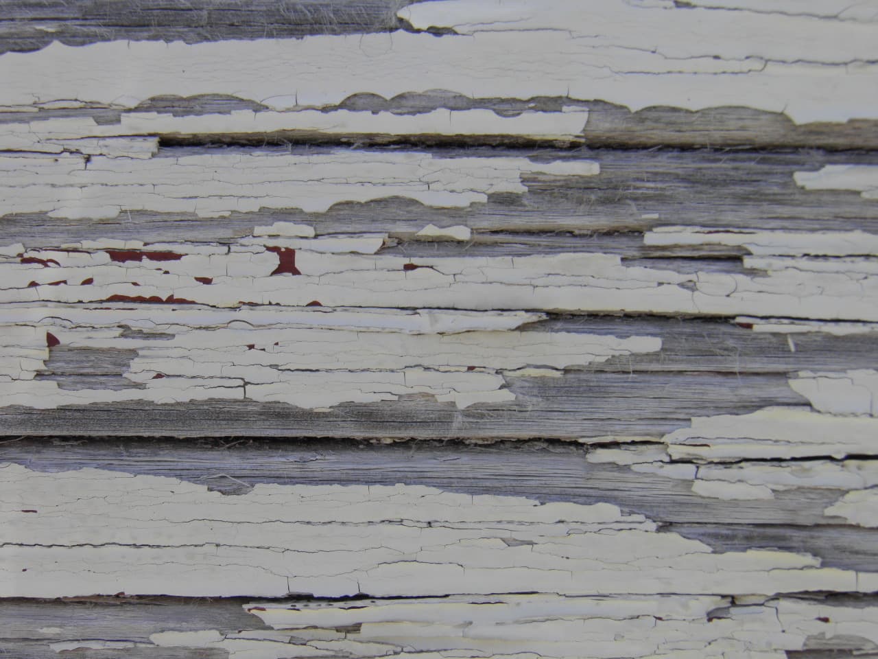 Texture - P7220298