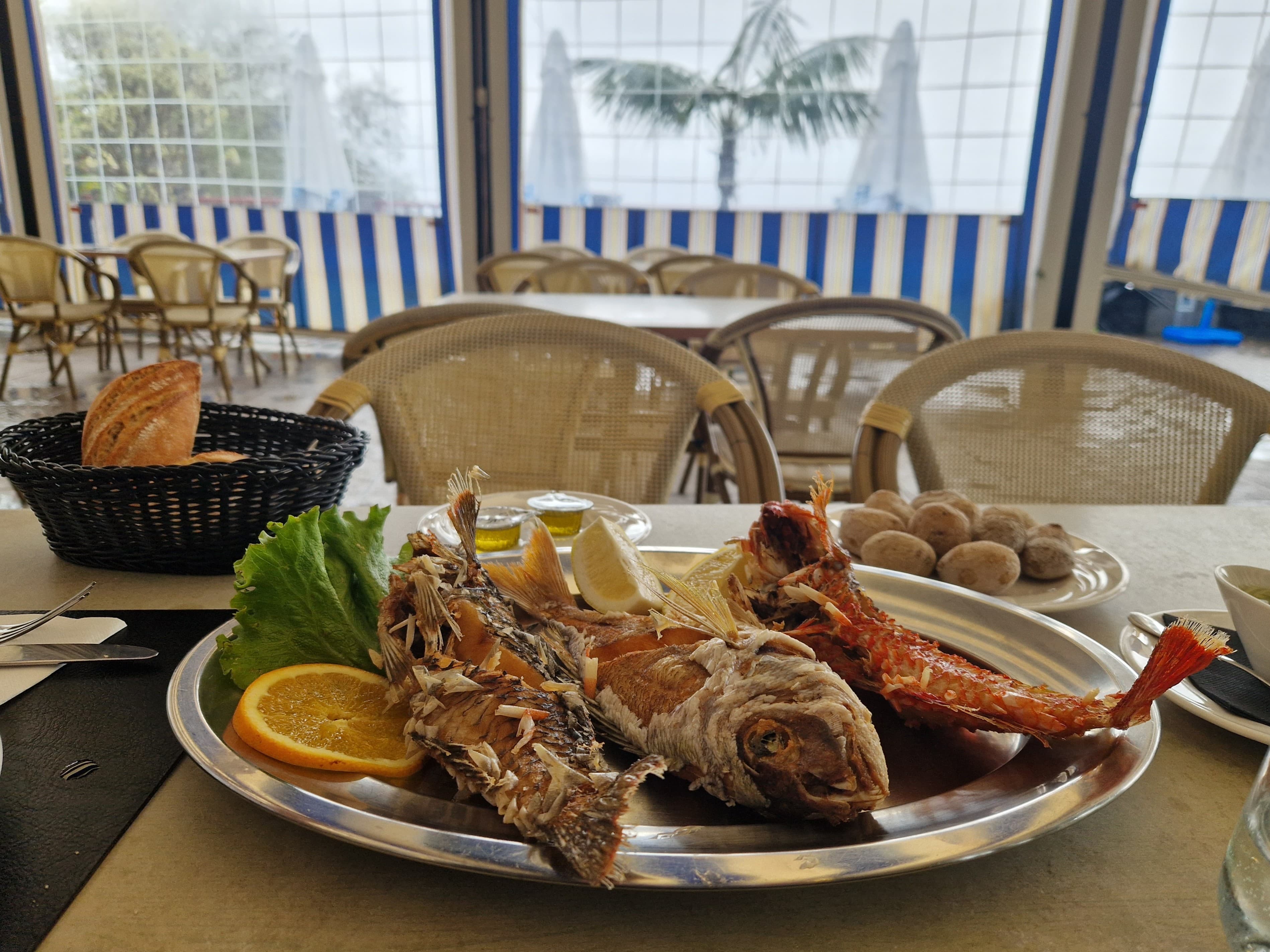 Grilled fish, Charco Azul