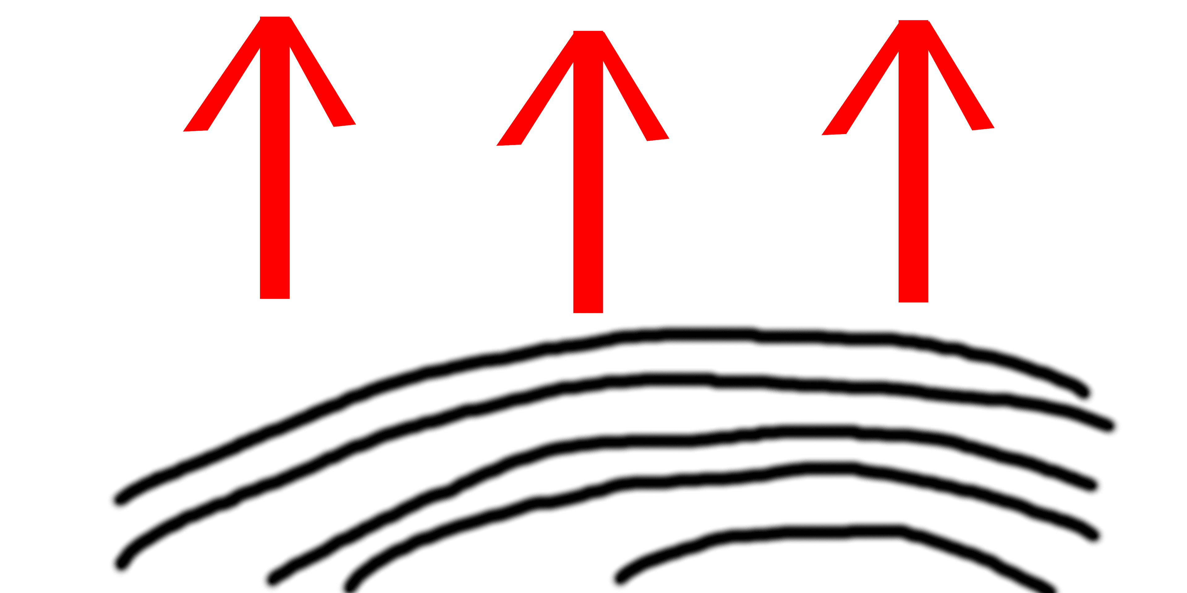 Wood Grain Direction -left-