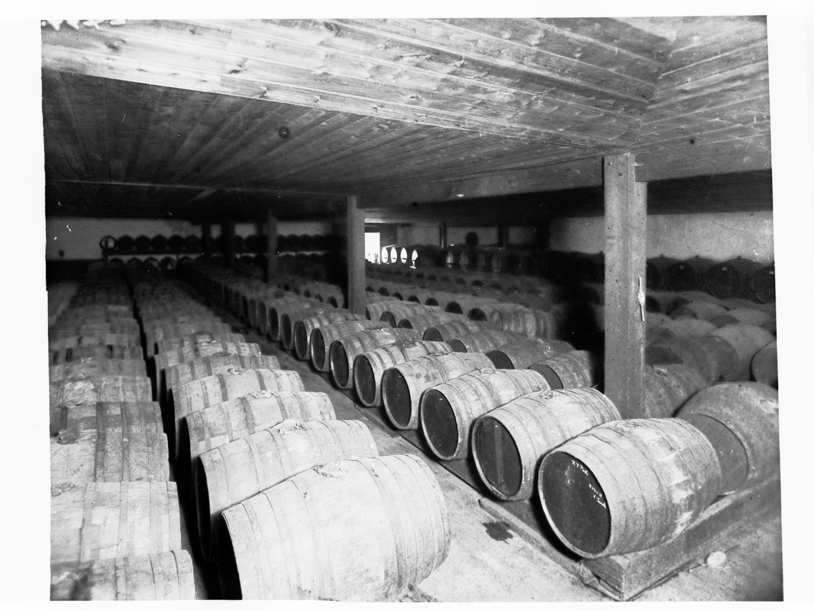 Wine Cellar Showing Barrels(GN11869)