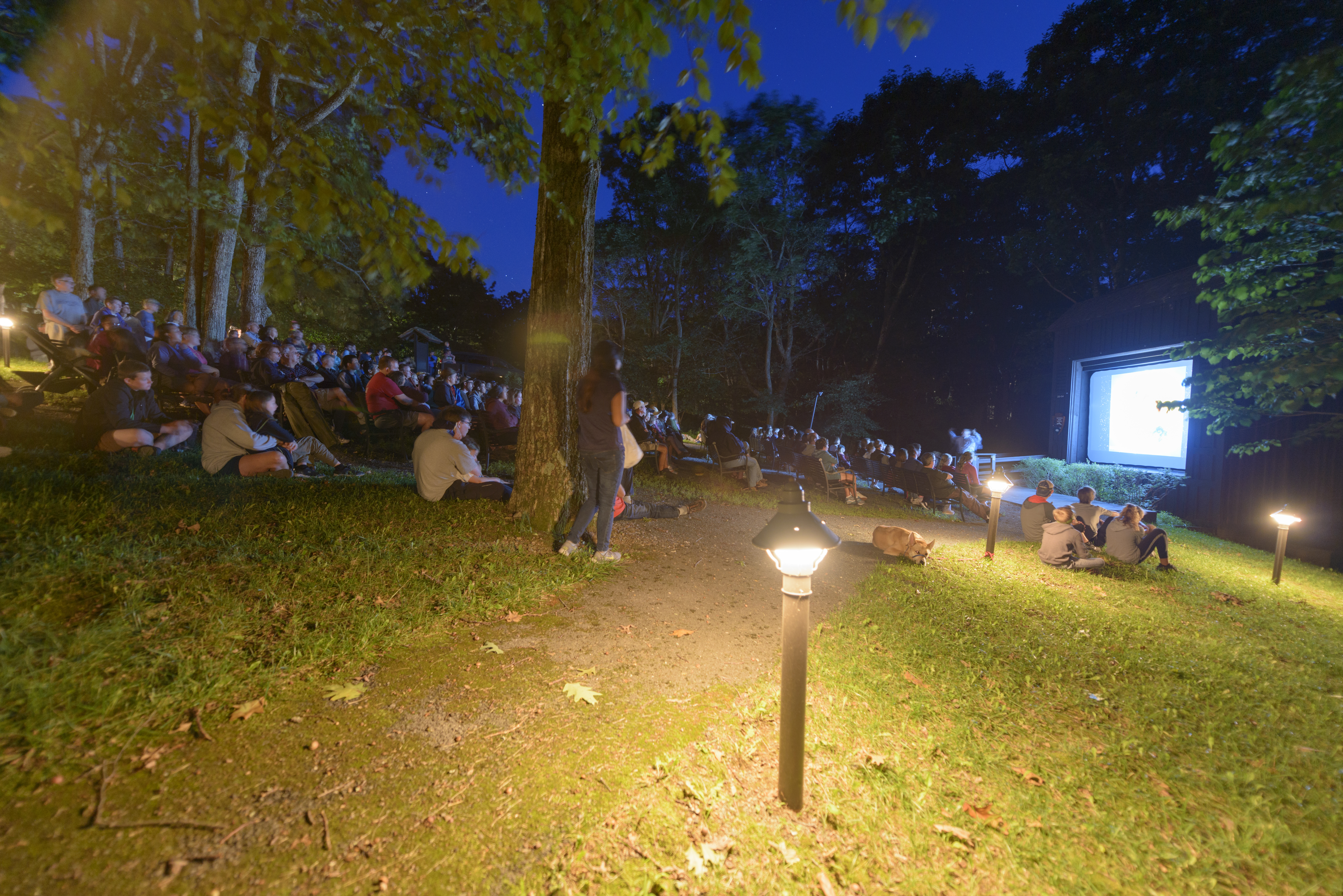 2017 Night Sky Festival (36065796354)