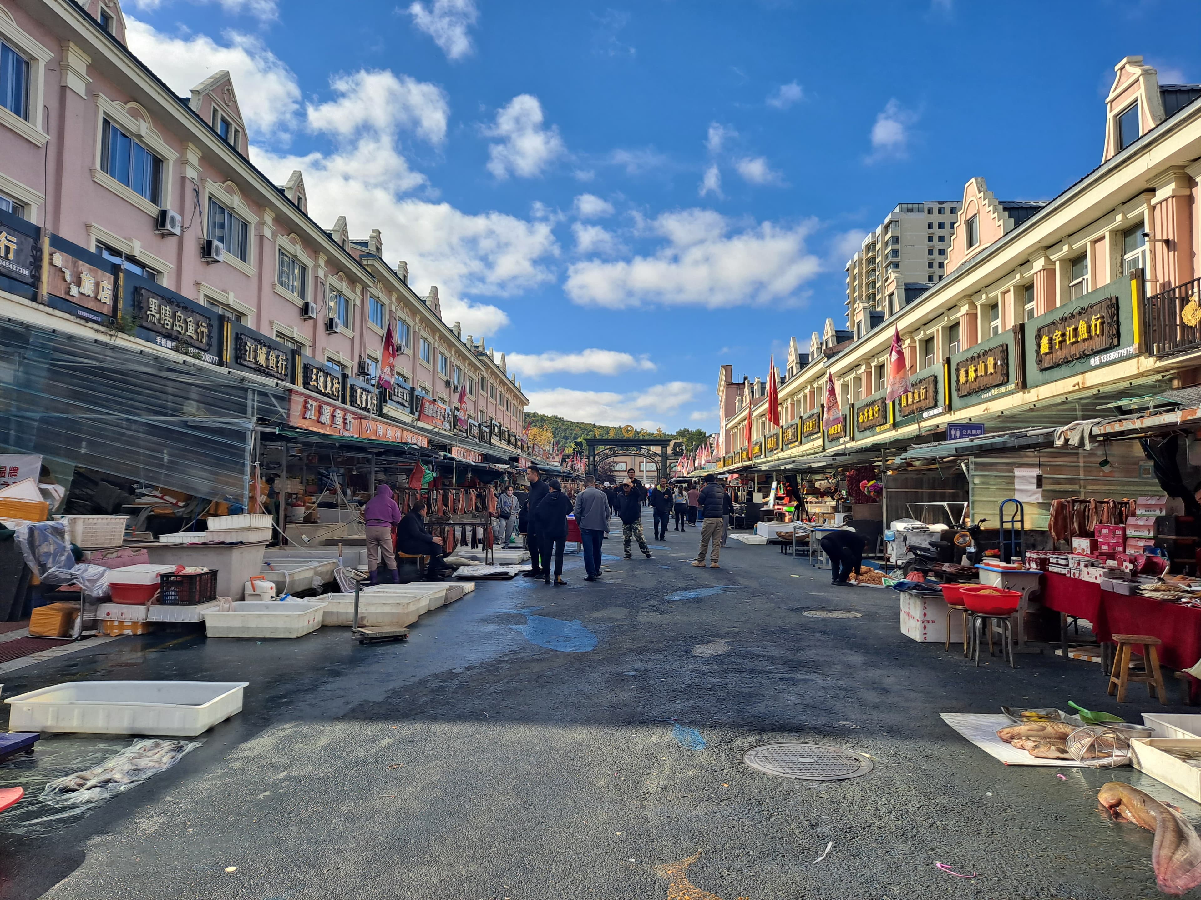 Dongji Fish Market 6