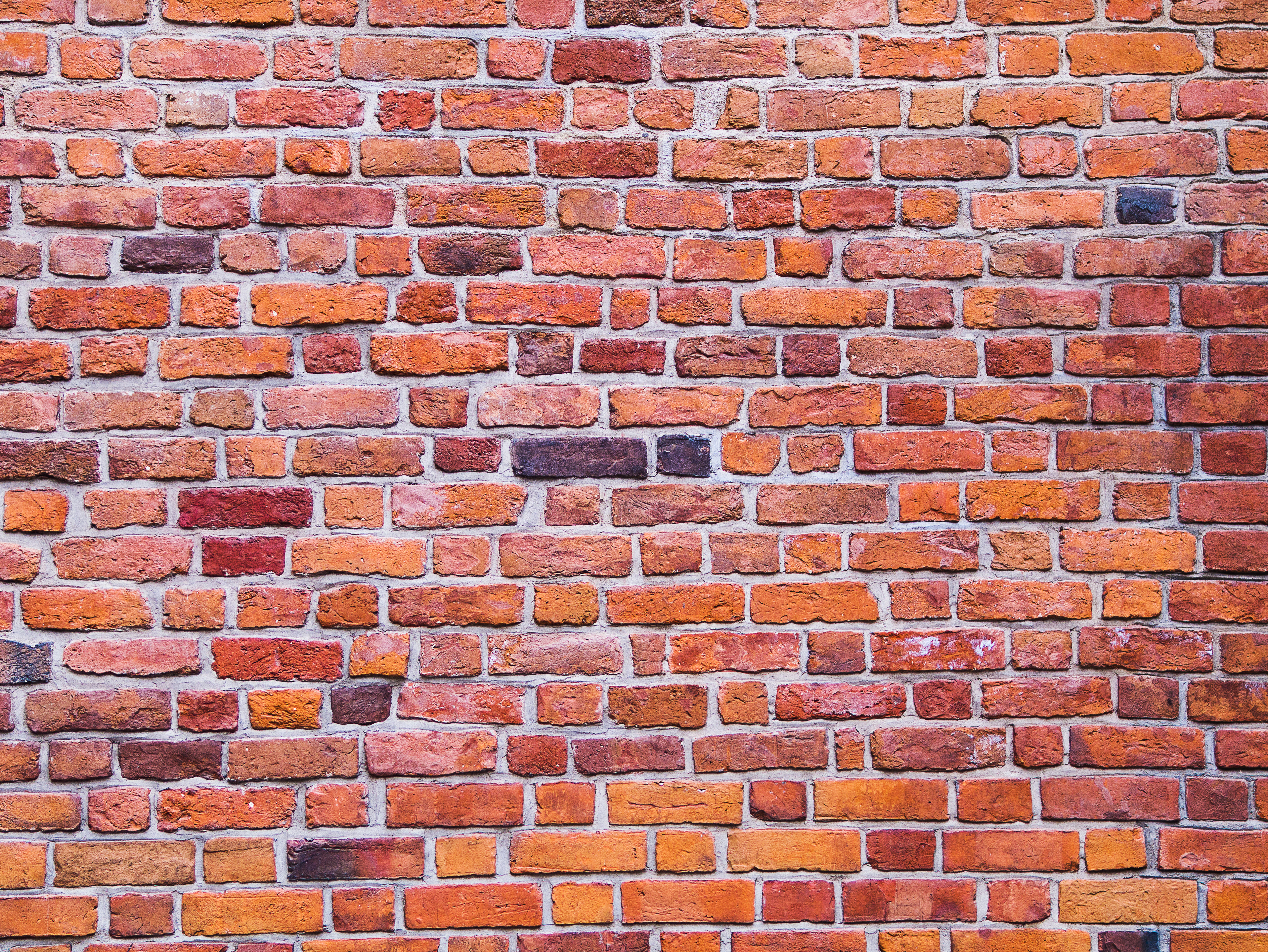 Michał Grosicki 2017-03-12 (Unsplash)