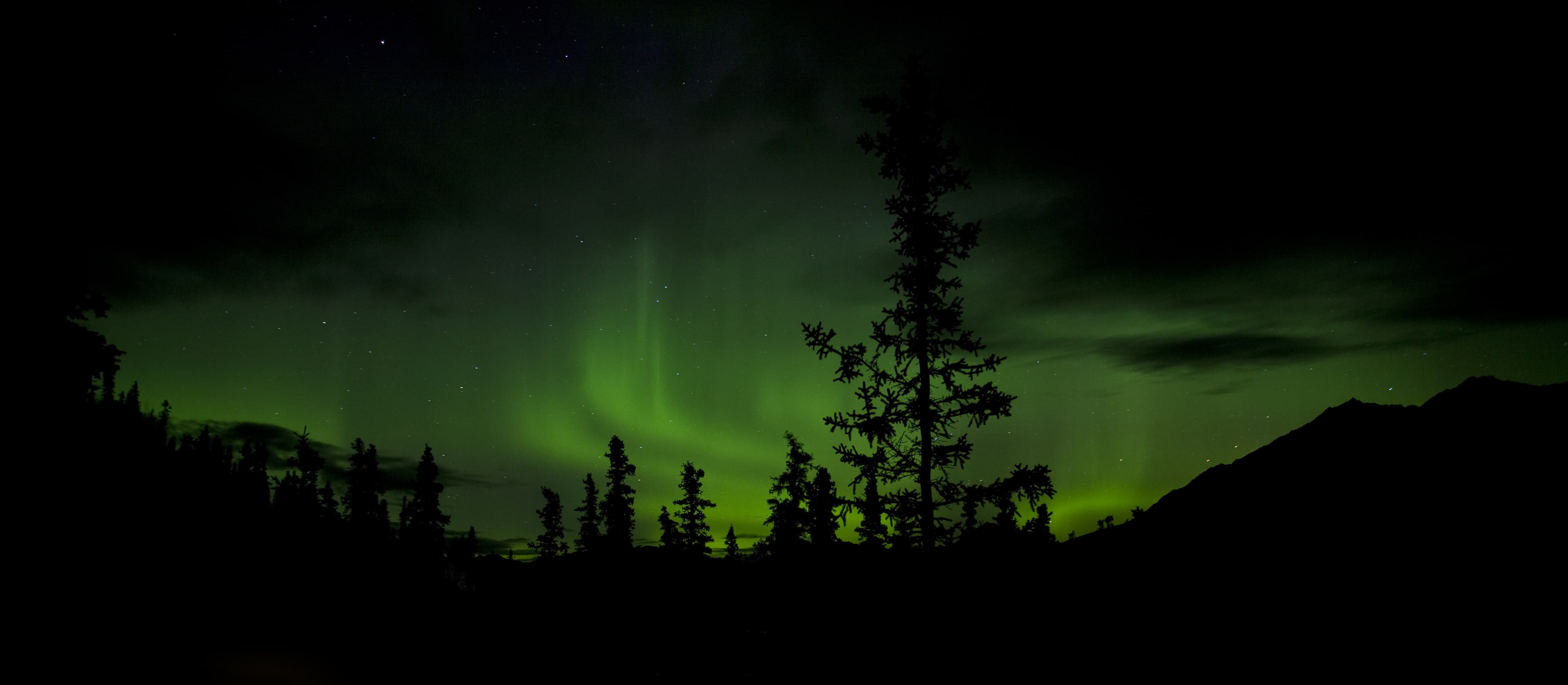 Toklat Aurora Borealis (6186792649)