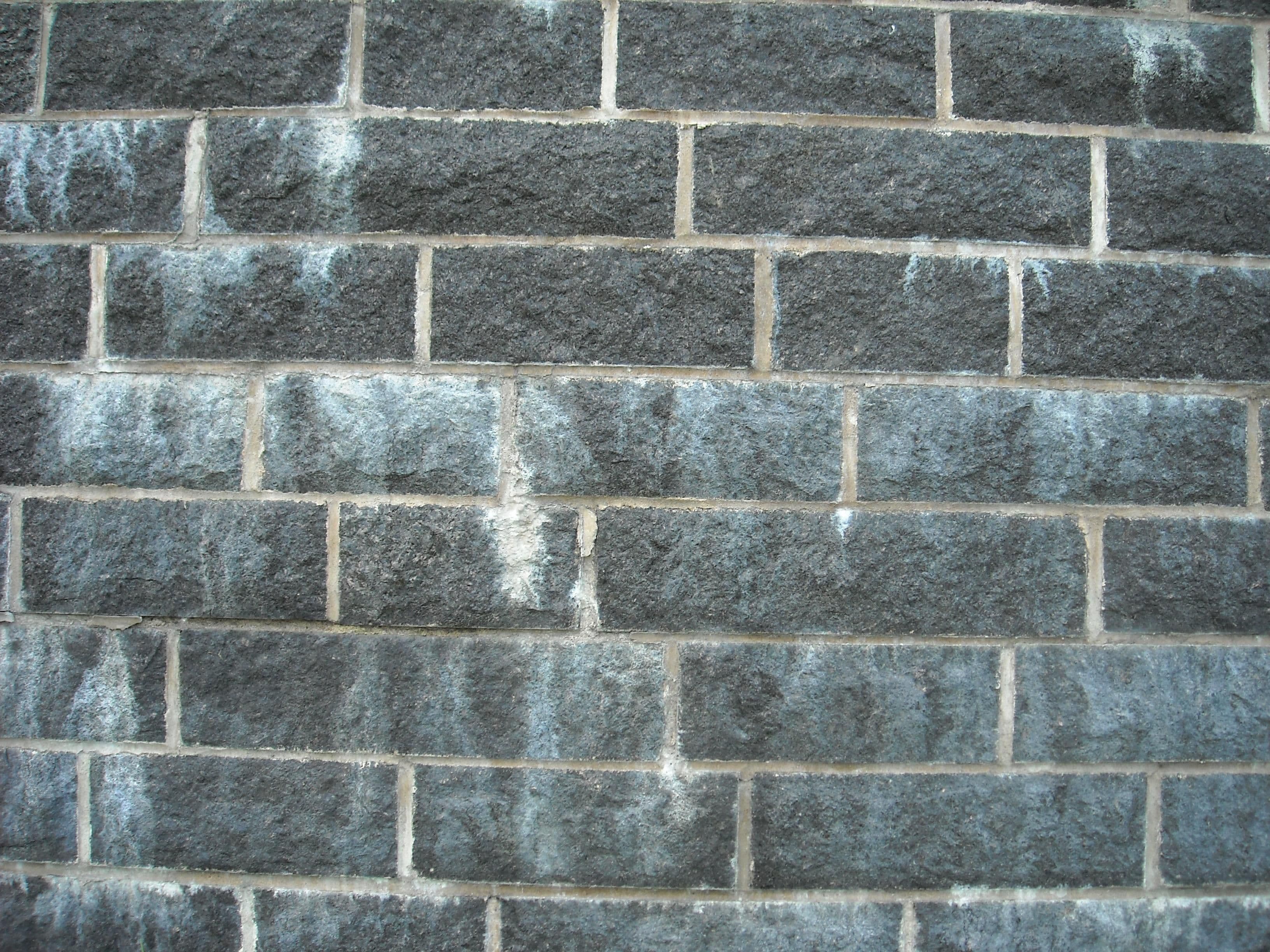 Brick wall texture