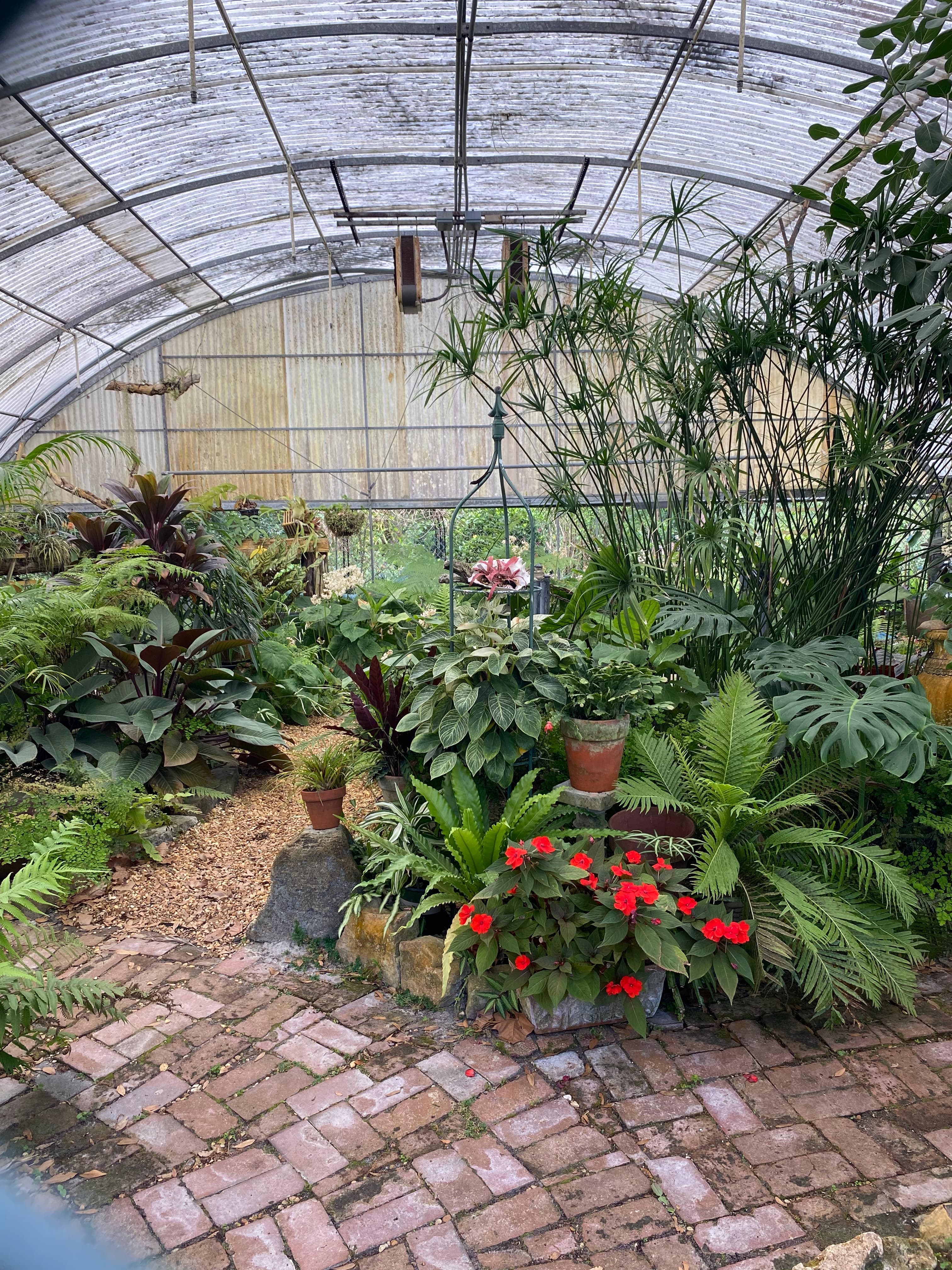Greenhouse at Mead Botanical Garden
