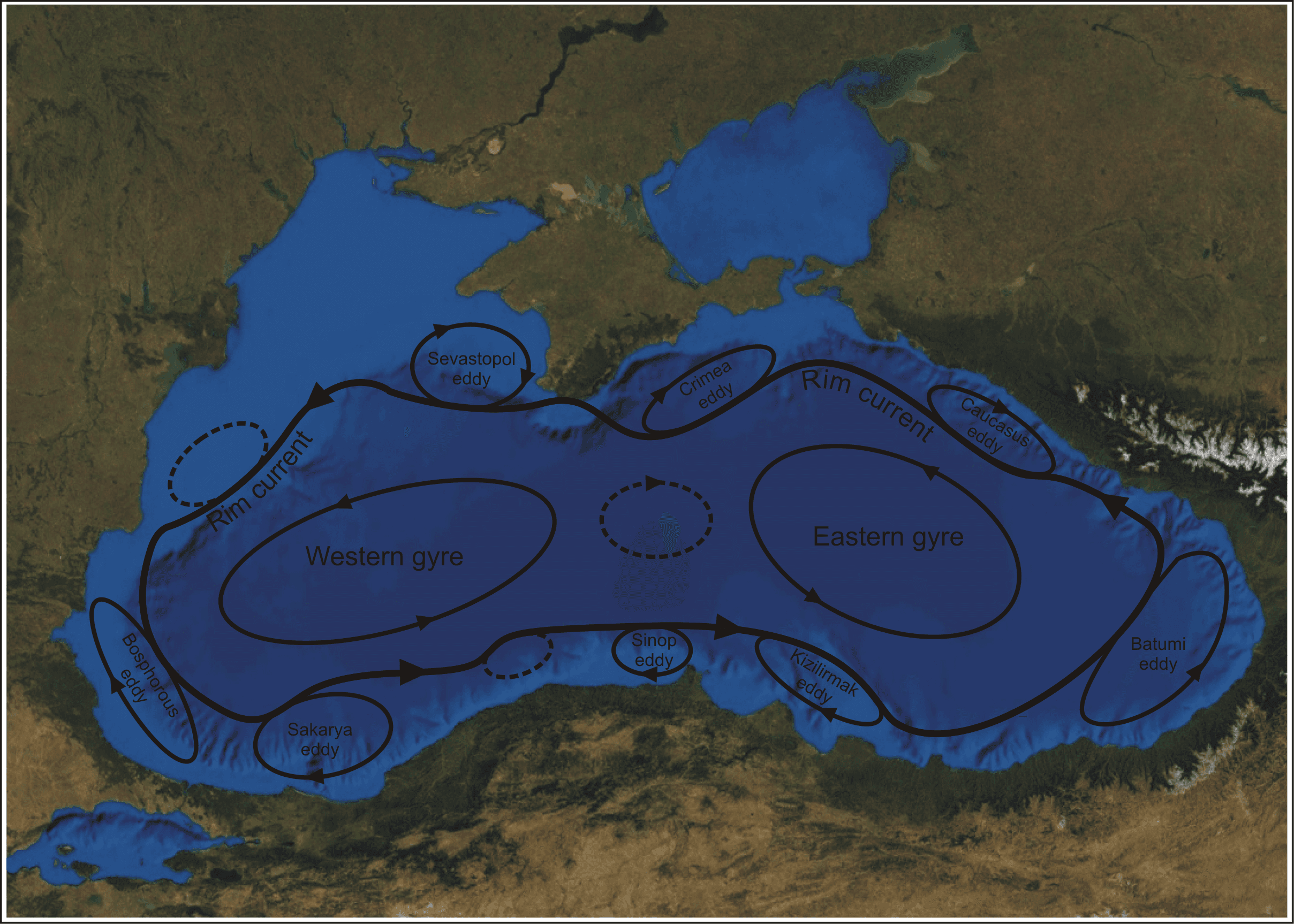 Black Sea circulation
