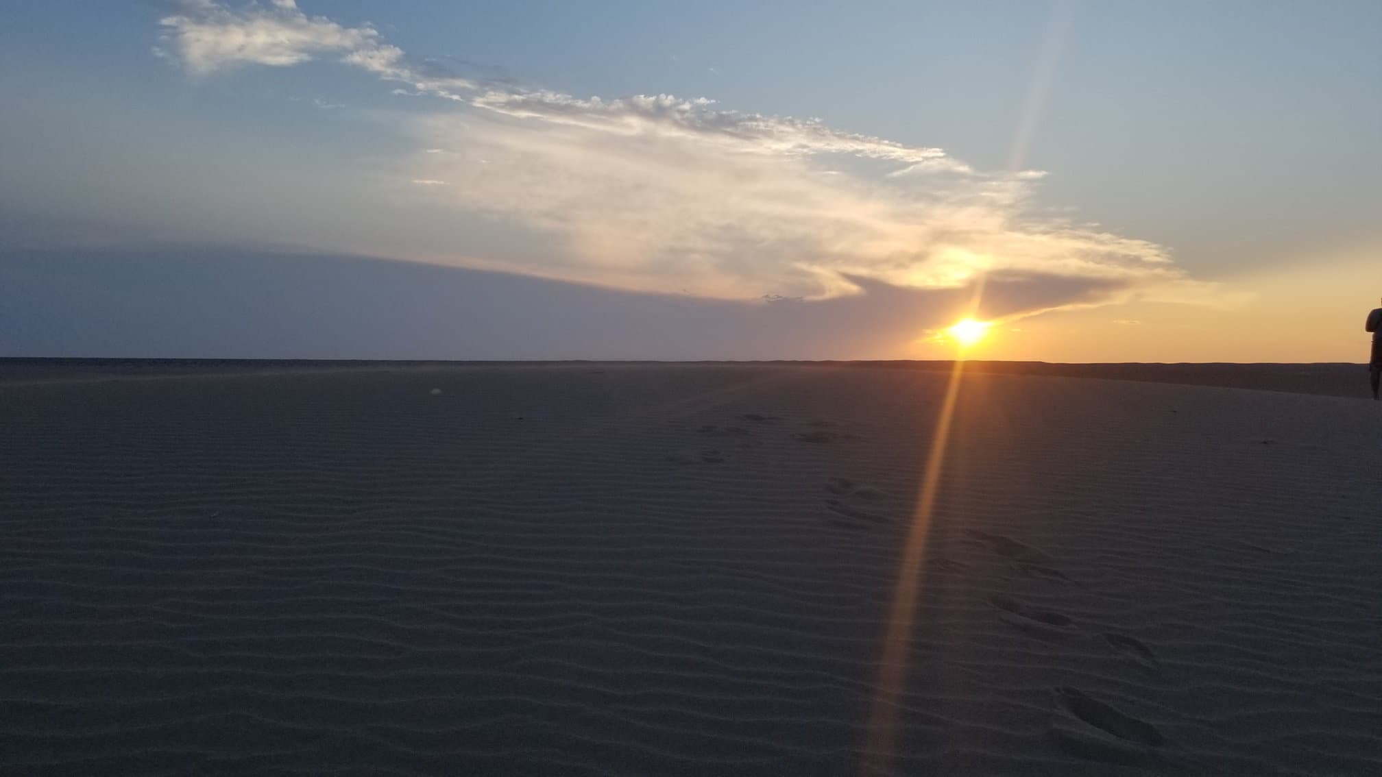 Mongolian Gobi desert dune 1120