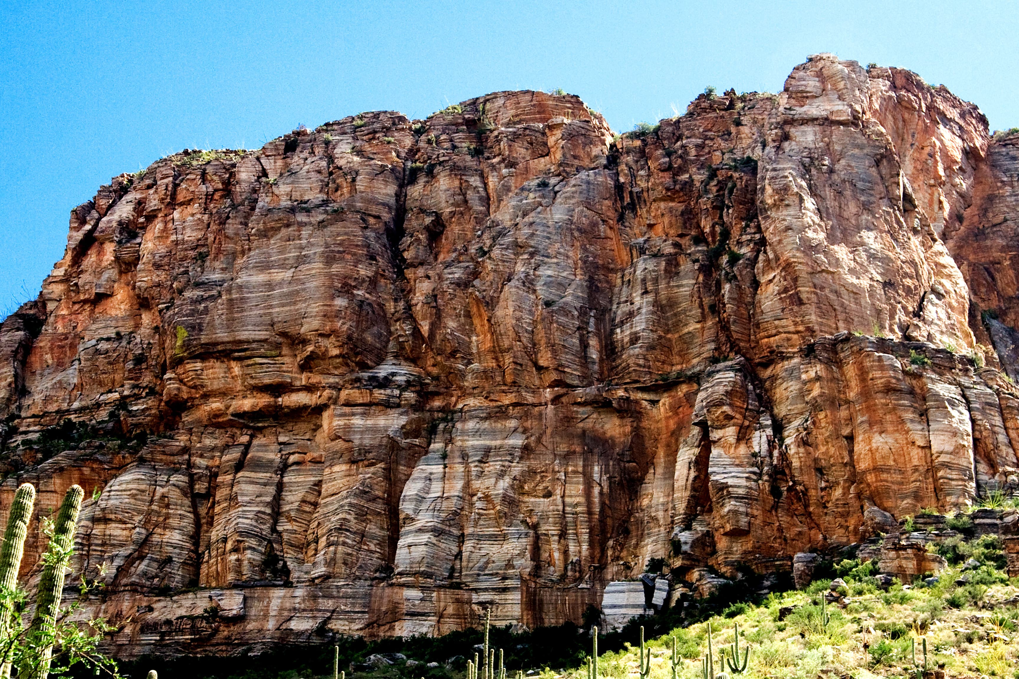 Striations in Rock Wall (27616211539)
