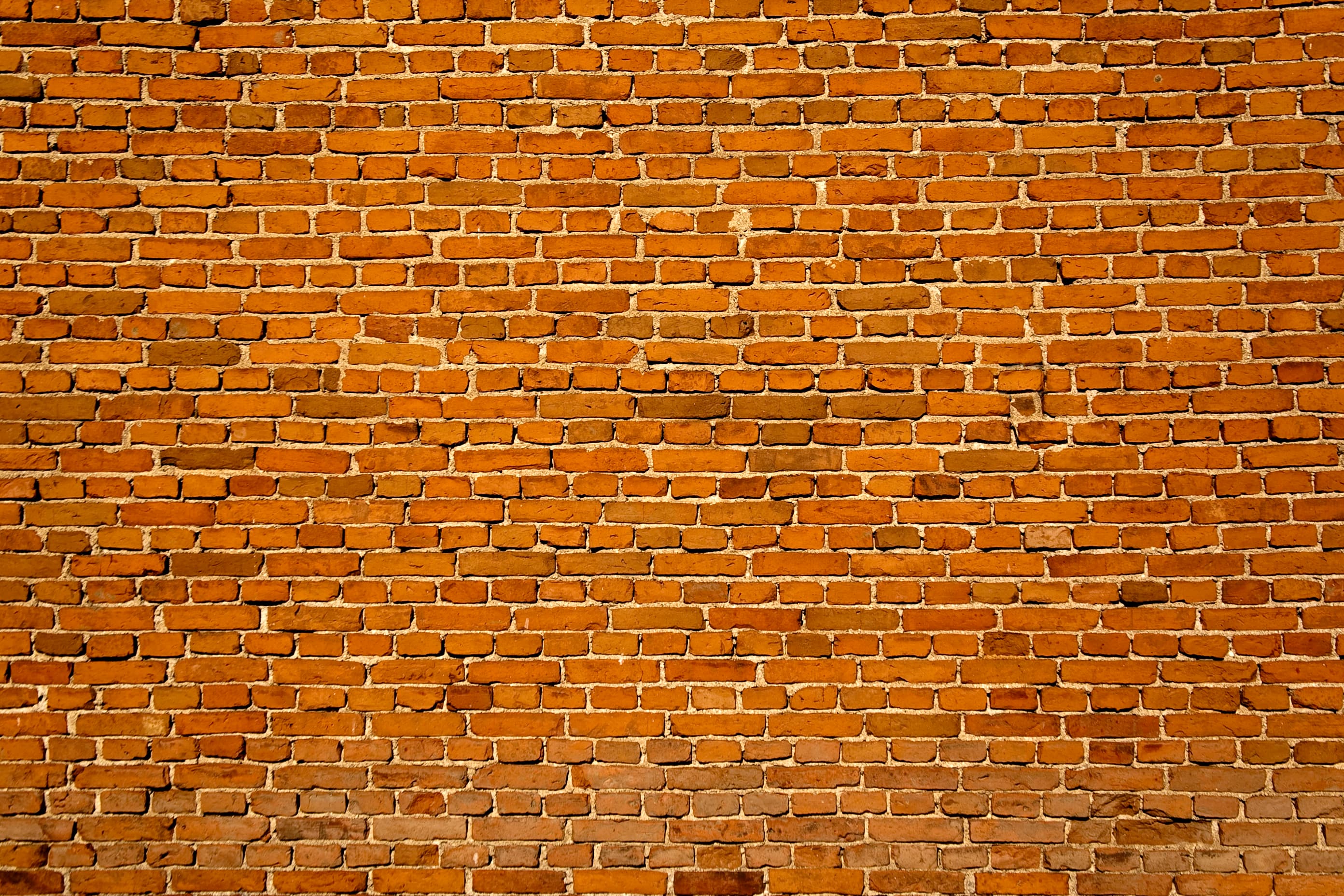 Brickwall (Unsplash)