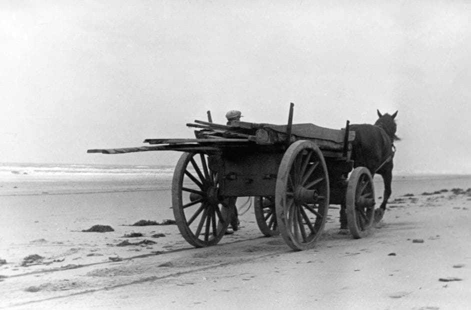 Beachcomber gathering wreckage