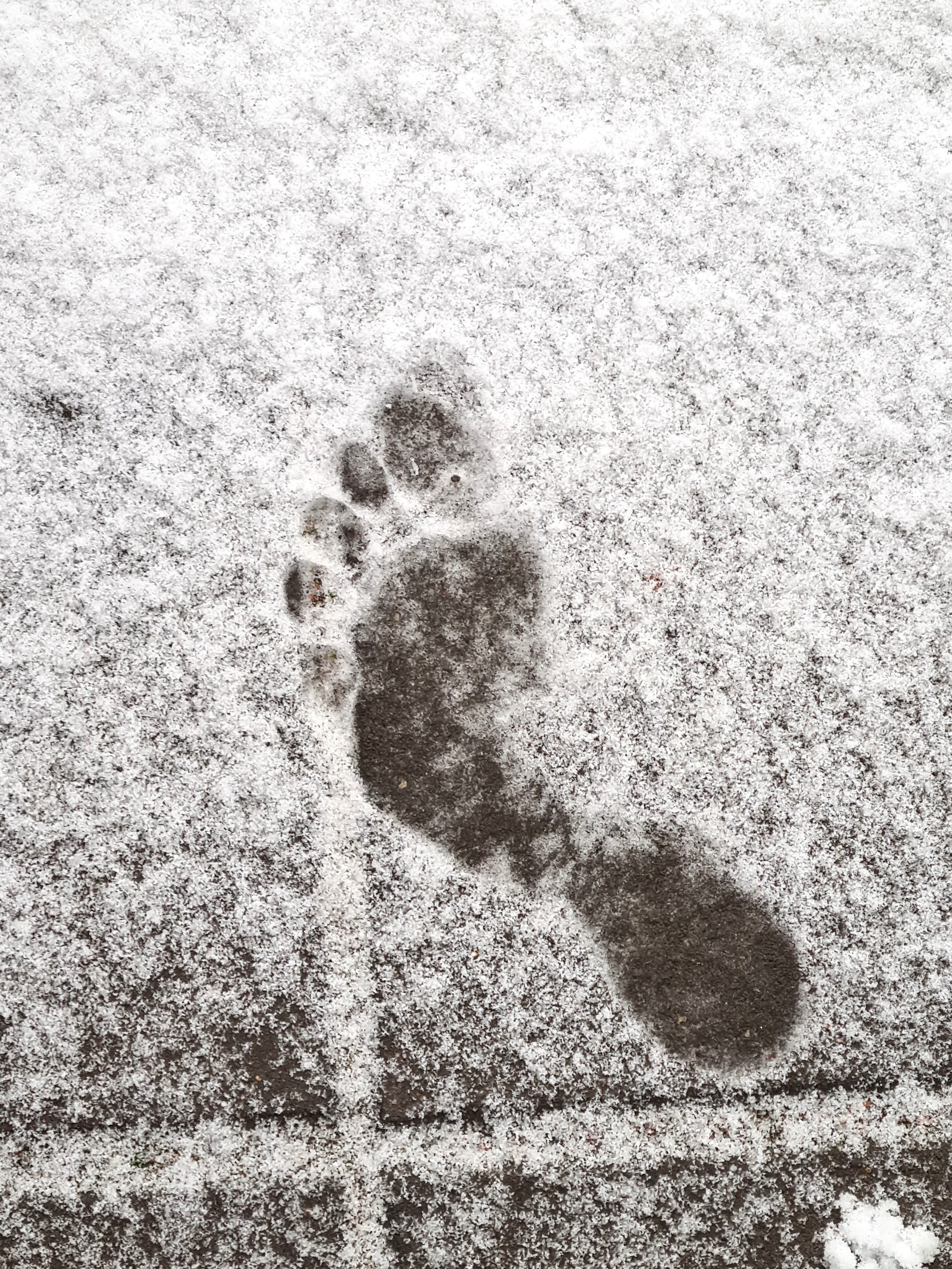 Footprint on snow