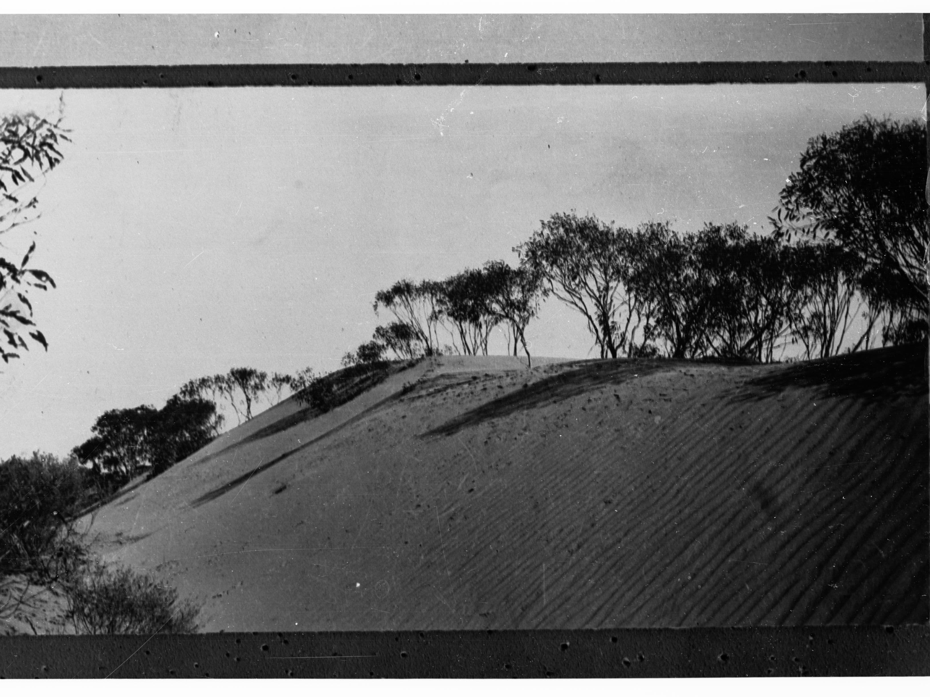 Sand Dune in Desert Showing Trees(GN04652)