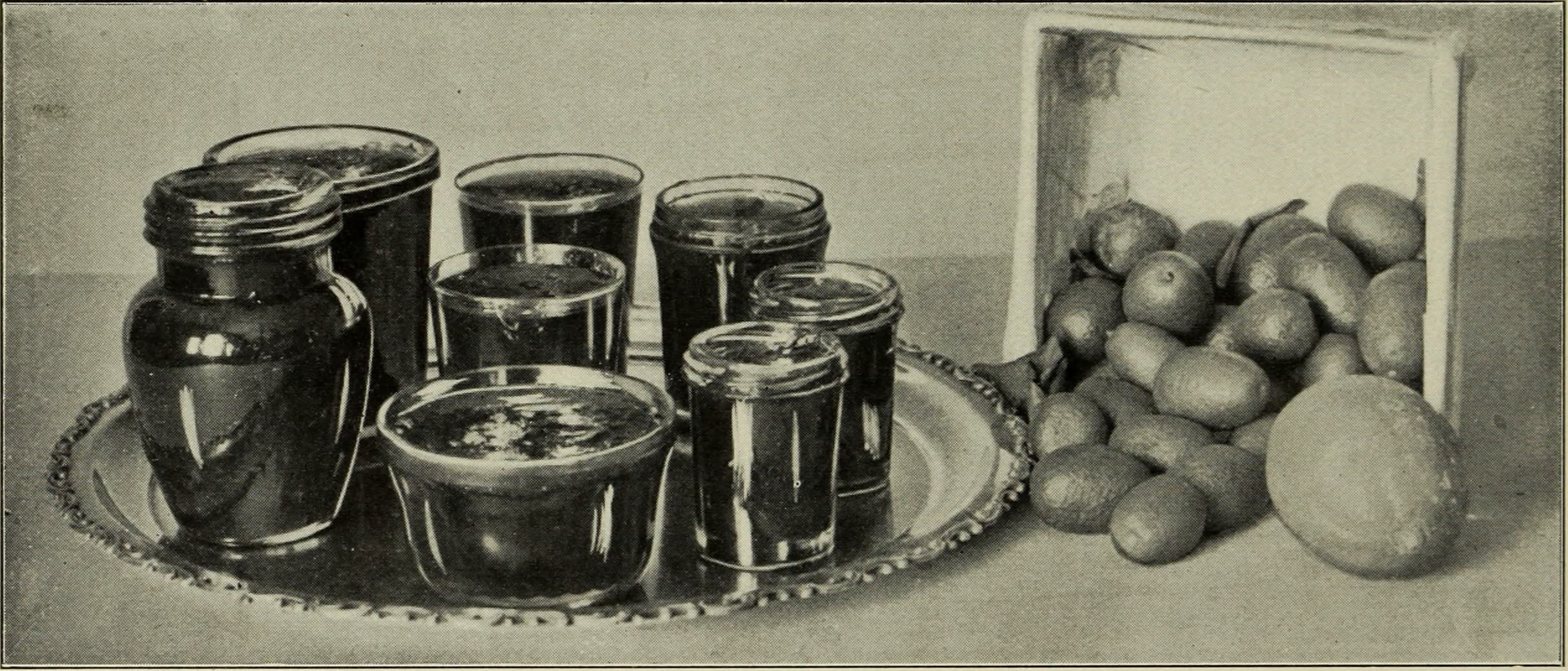 American cookery (1915) (14804581583)