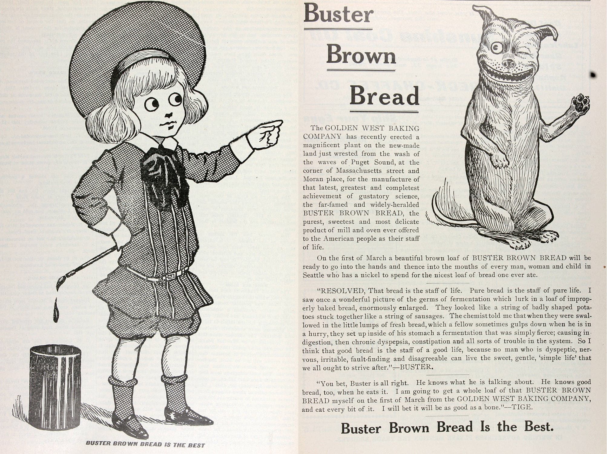 Buster Brown Bread (1907) (ADVERT 450)