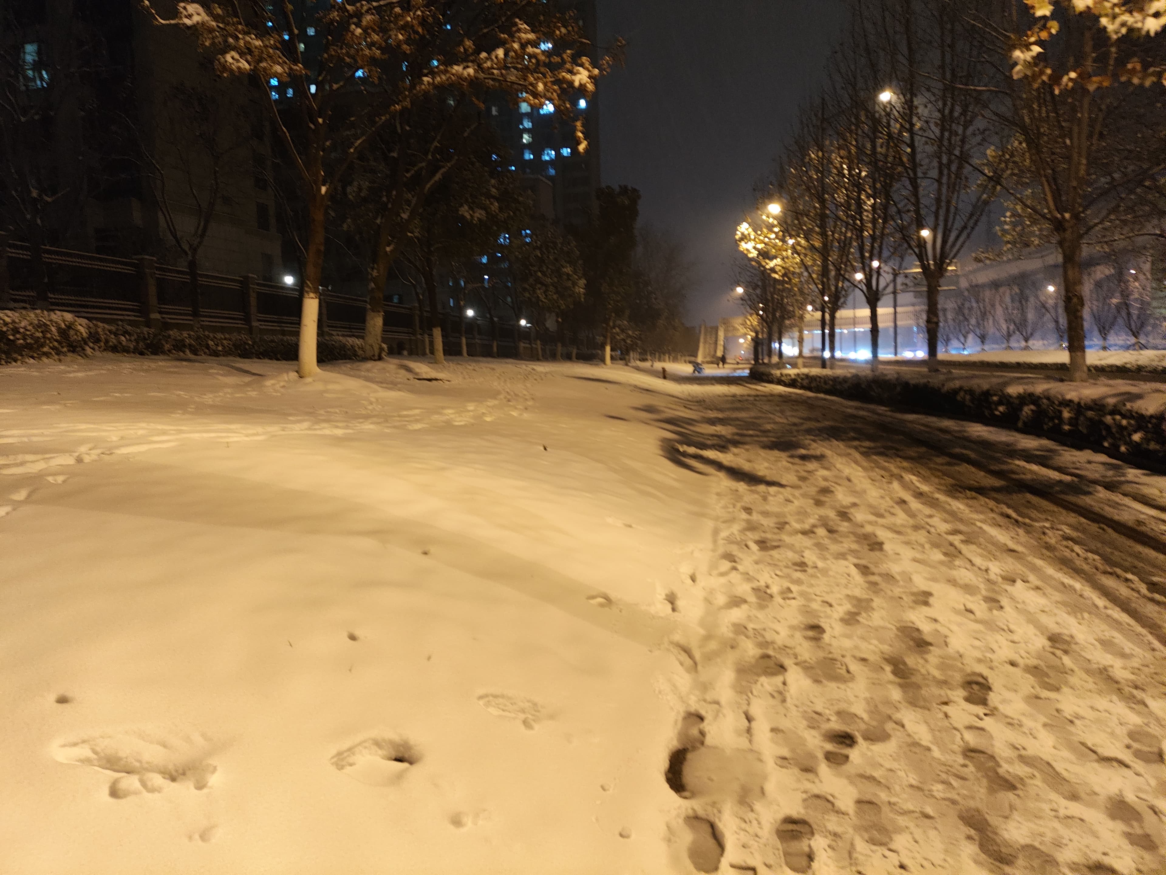 Snowy night street in Nanjing