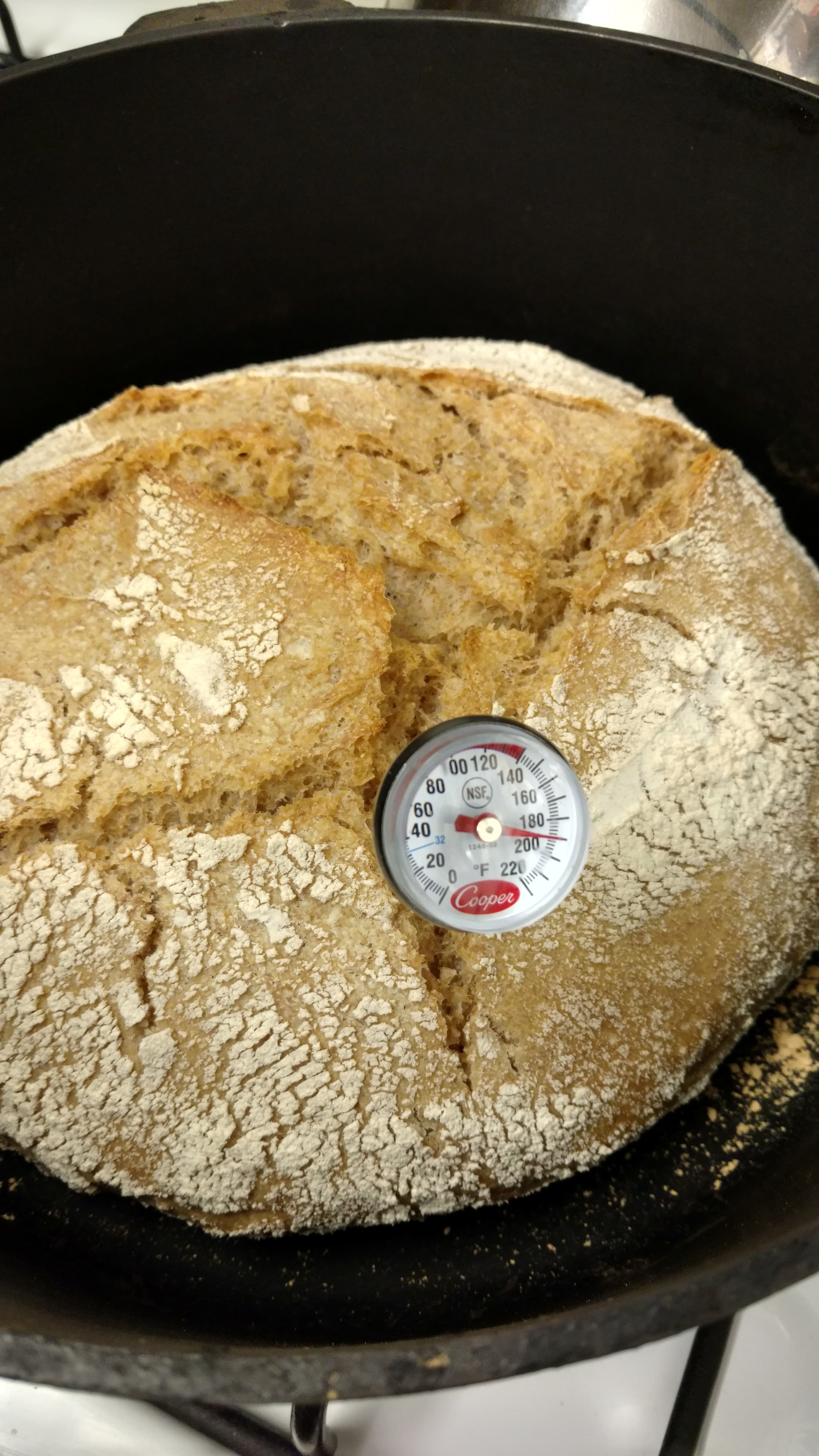 Sourdough bread baked in dutch oven