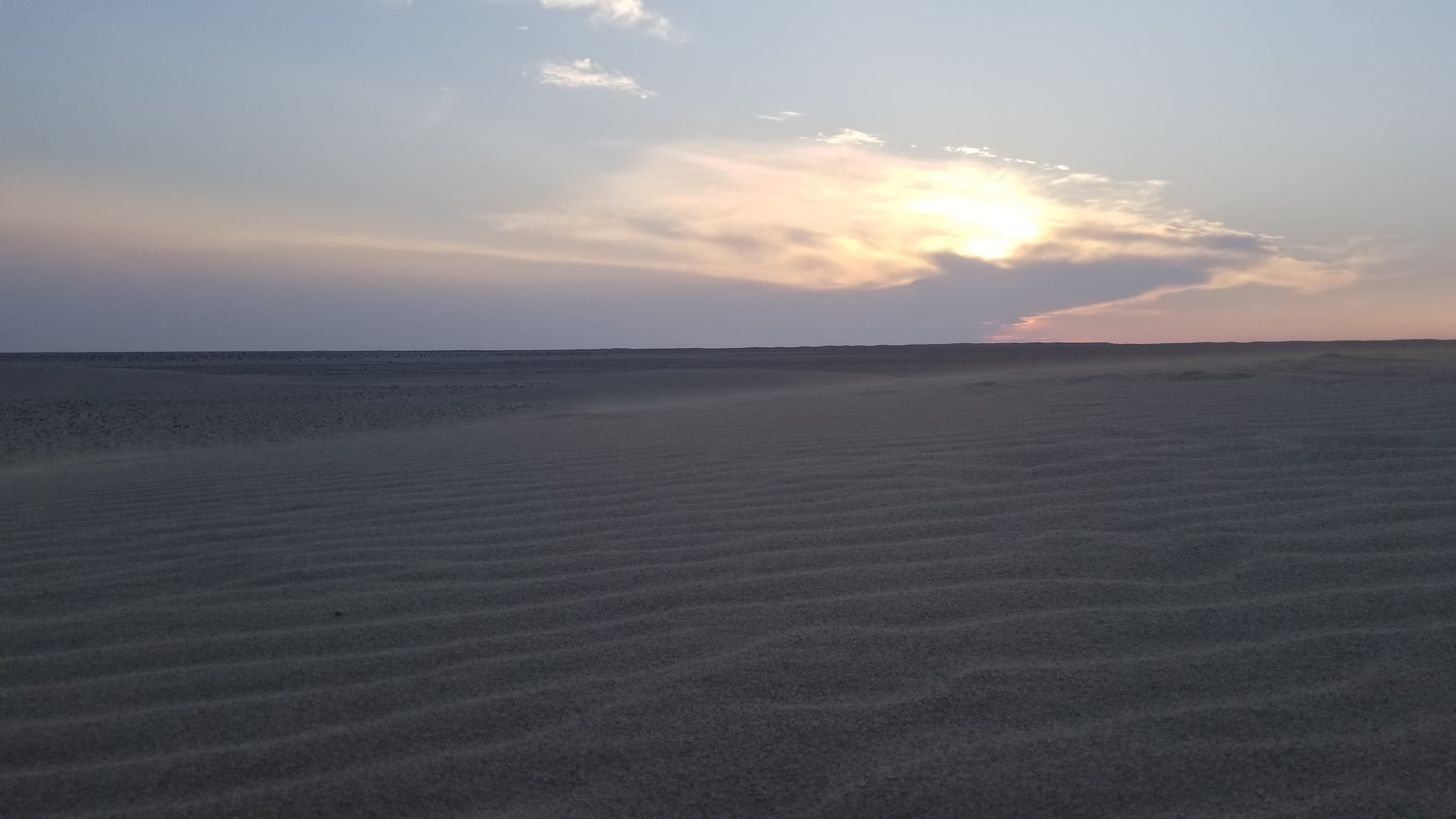 Mongolian Gobi desert dune 119