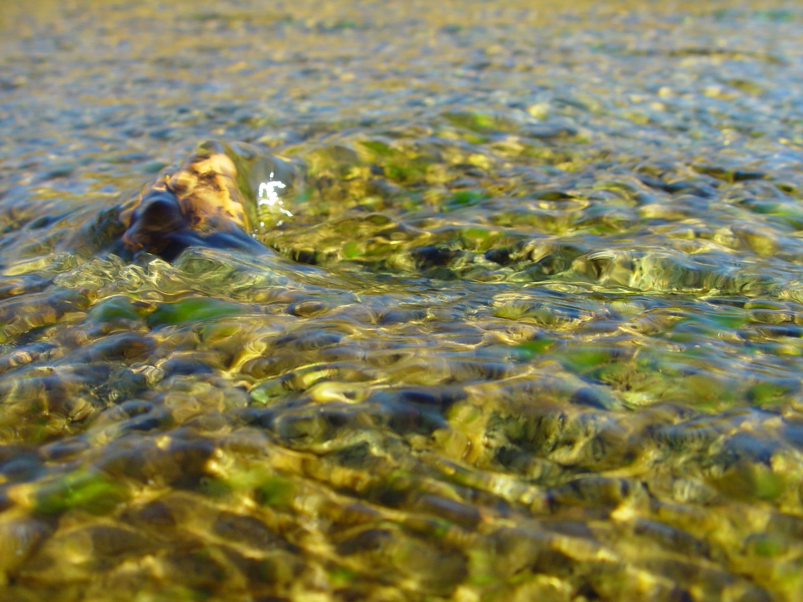 Pebble in flowing water (1)