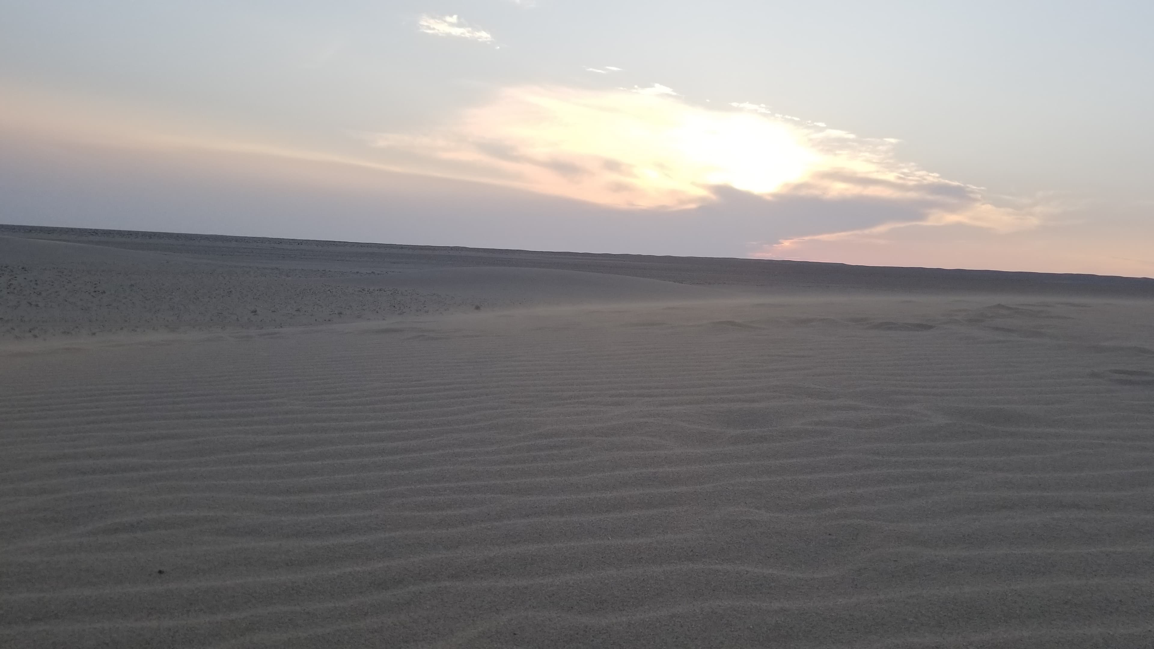 Mongolian Gobi desert dune 116