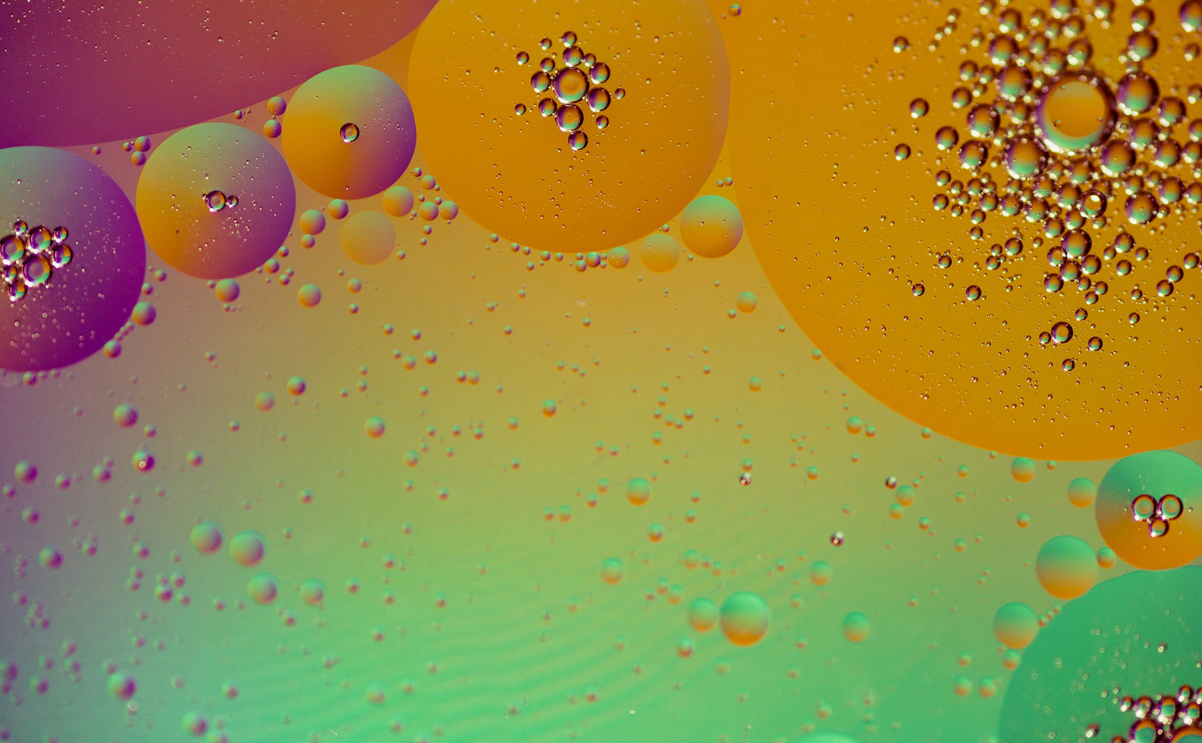 Personal Bubble 16x10 (48870410266)