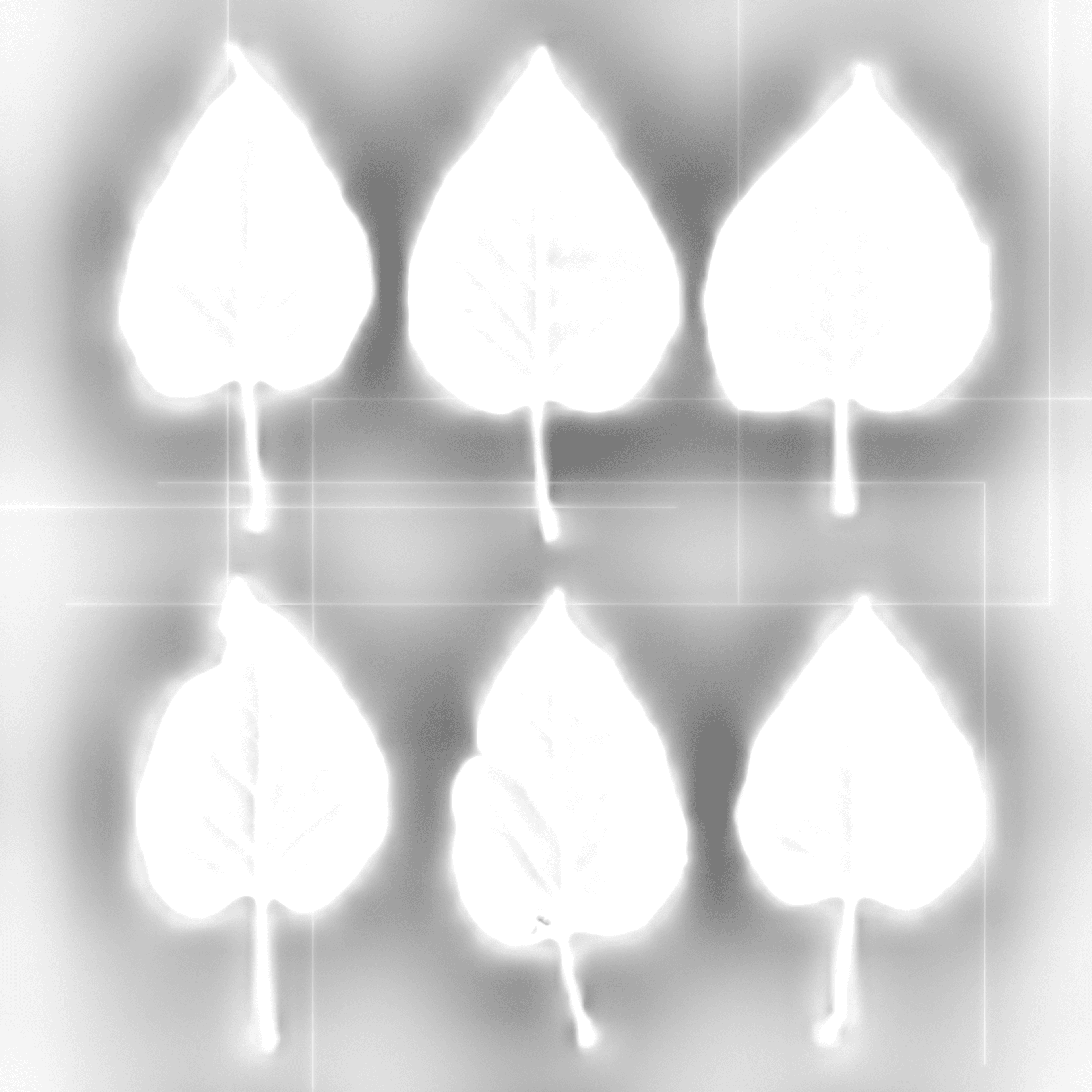 LeafSet004 4K AmbientOcclusion