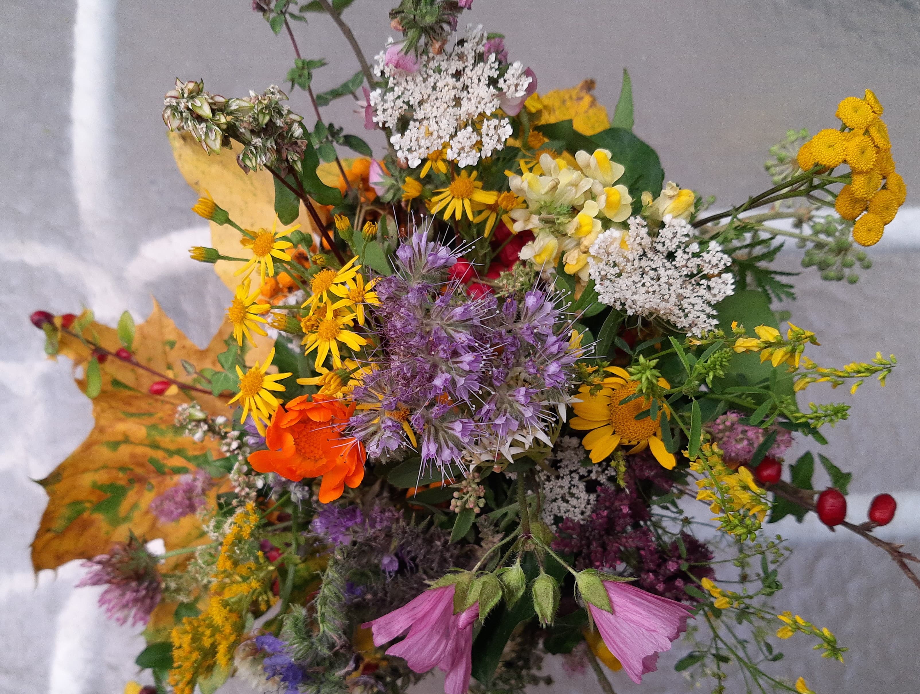 Bouquet of wildflowers, Ehrenbach