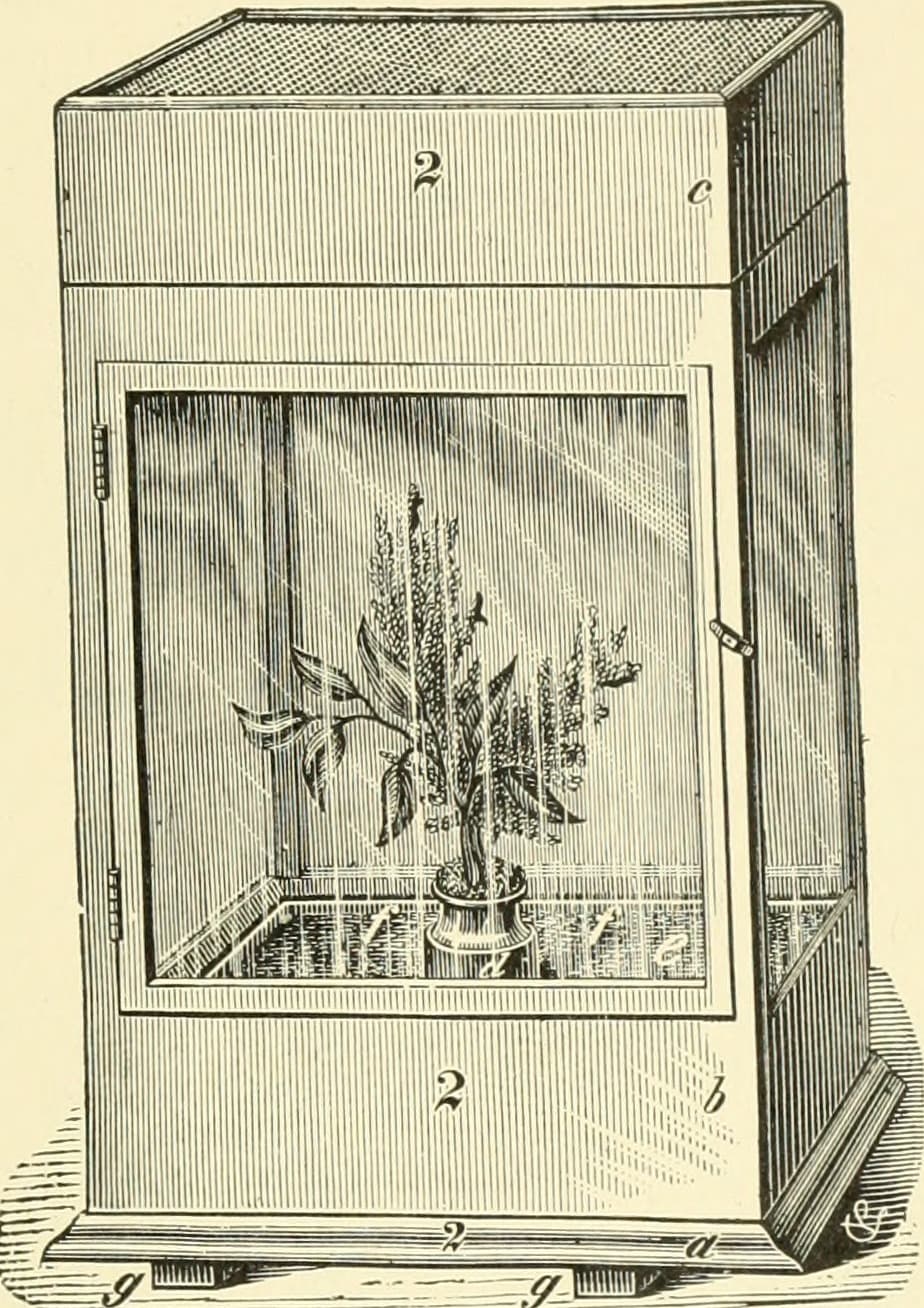 American insects (1905) (14765130152)