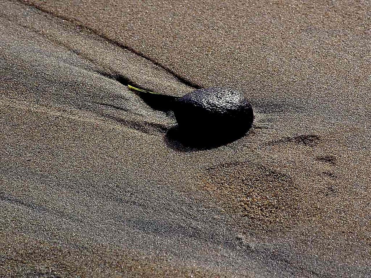 Footprint at ocean beach