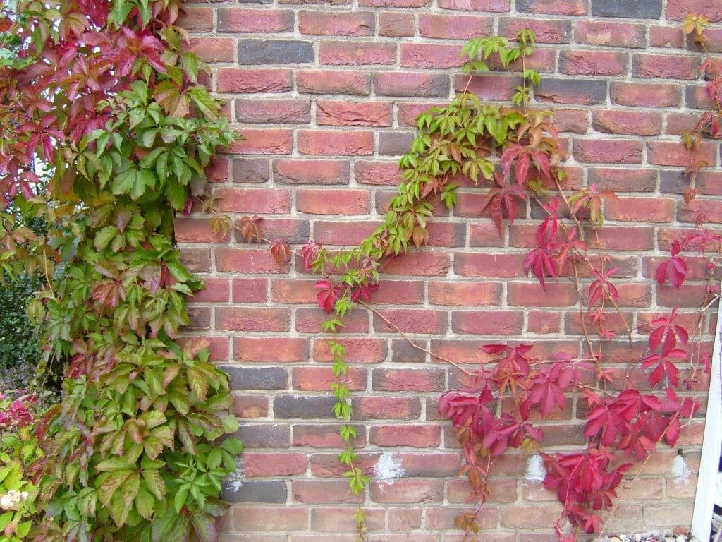 Creeper brick