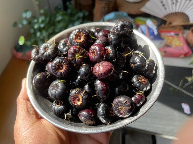 Bowl of Spider Fruit