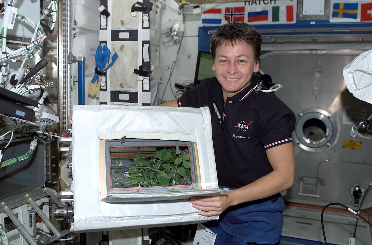International Space Station (ISS)