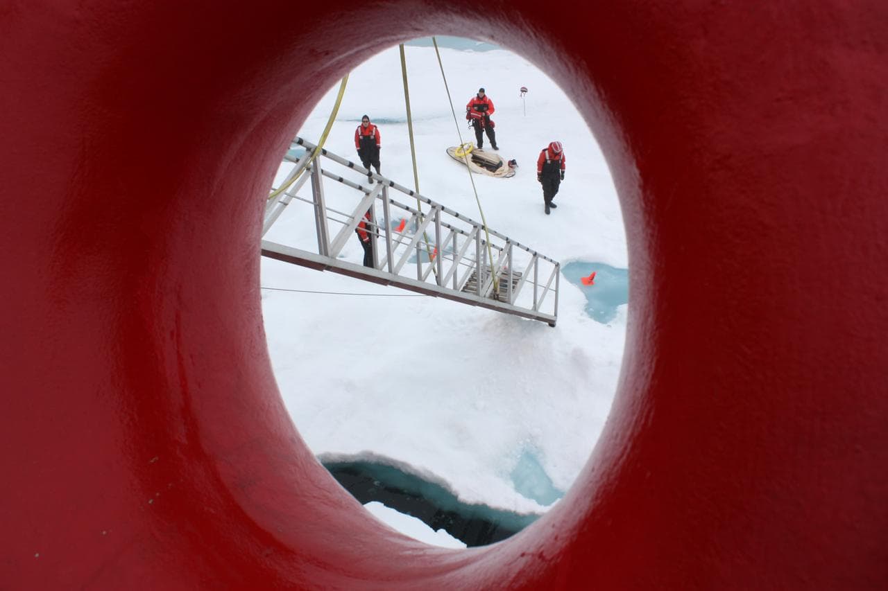 ICESCAPE Mission