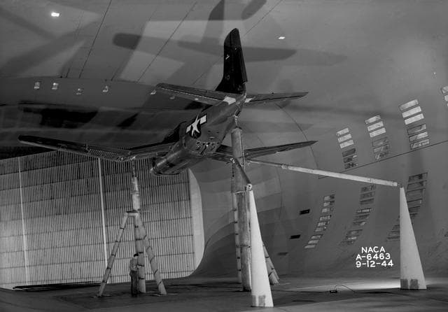 Douglas BTD-1 airplane.