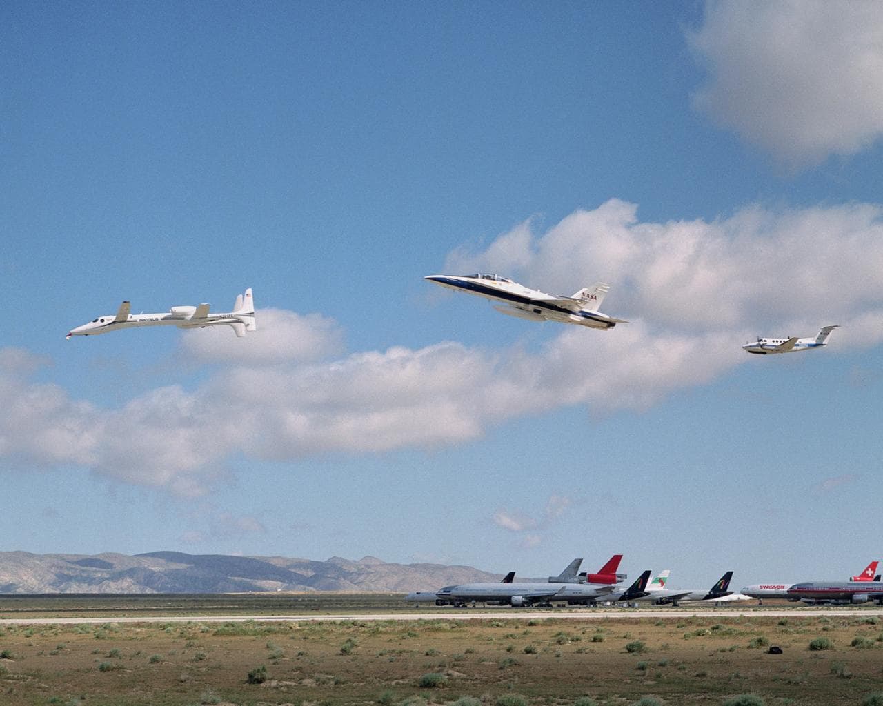 Scaled, composites, proteus