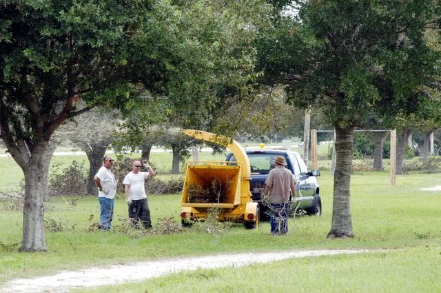 Hurricane, frances, cleanup