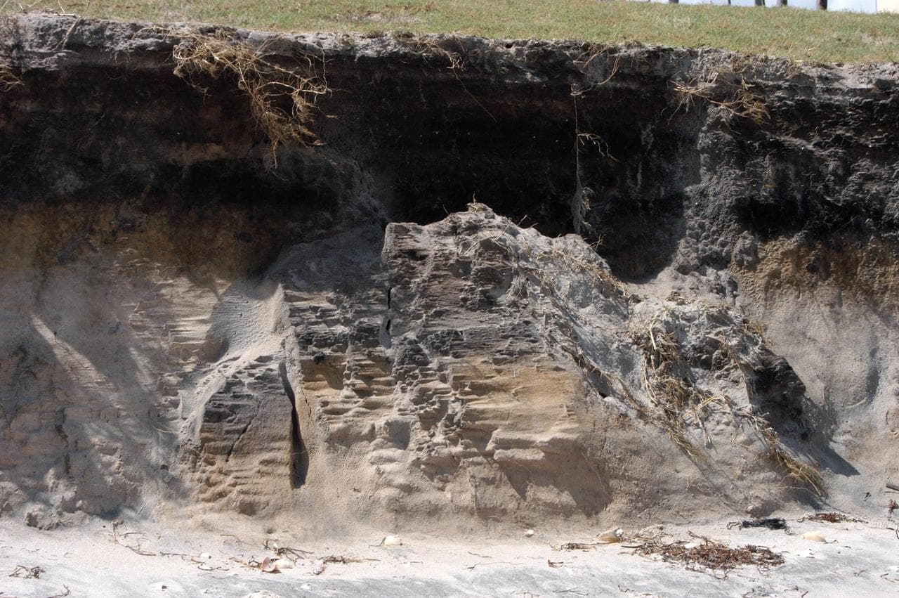 Hurricane, damage, storm