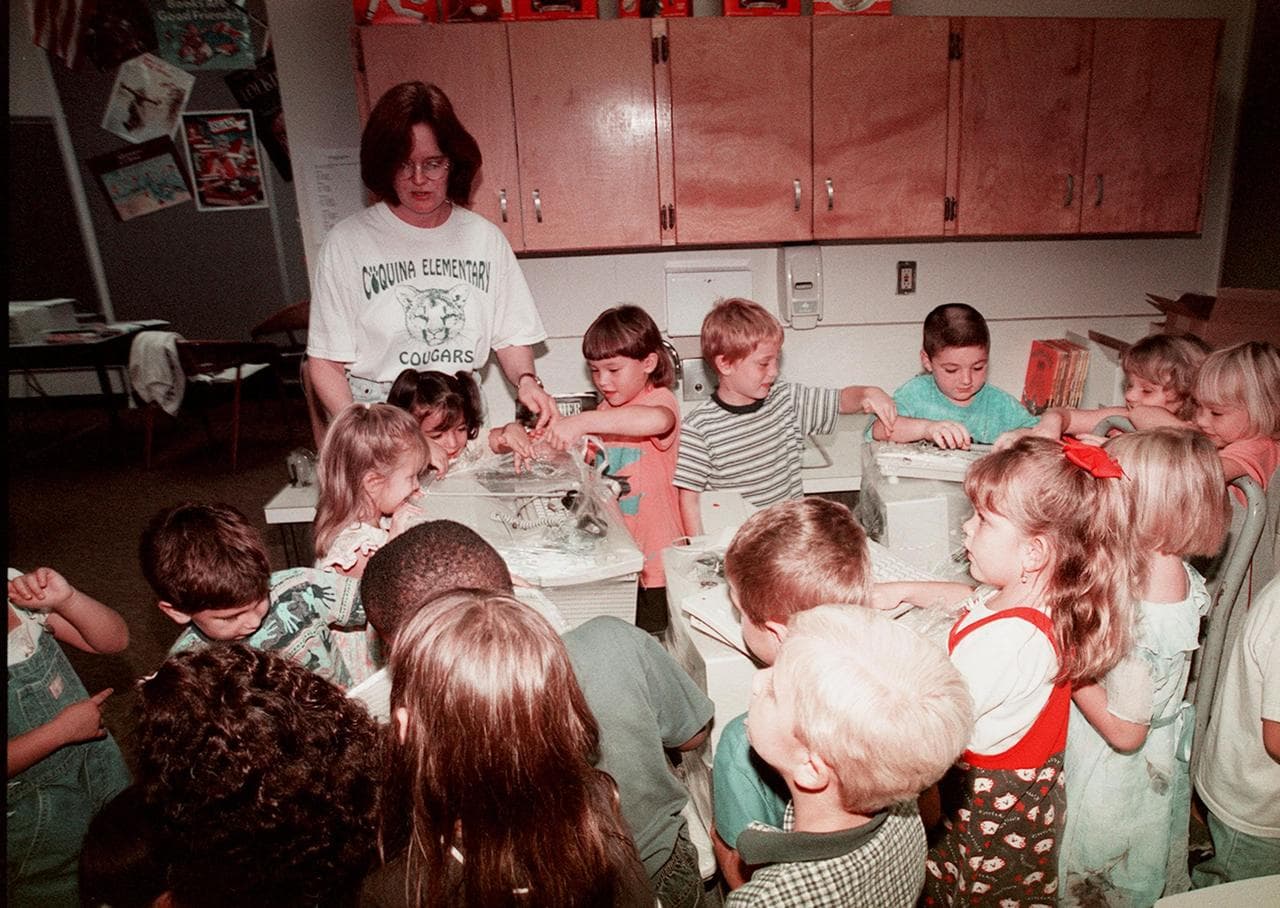 Children, coquina, elementary