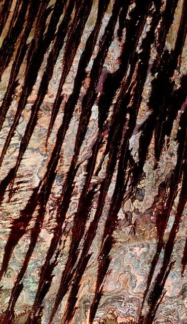 Space Radar Image of Egypt Sand Dunes