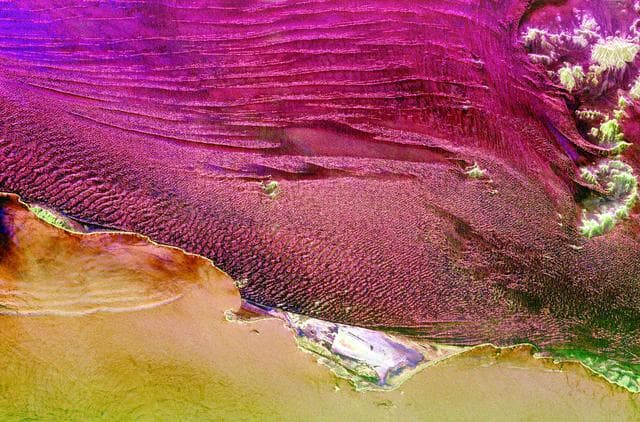 Space Radar Image of Namibia Sand Dunes