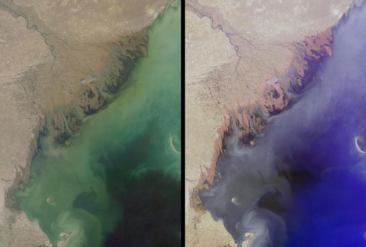 Volga Delta and the Caspian Sea