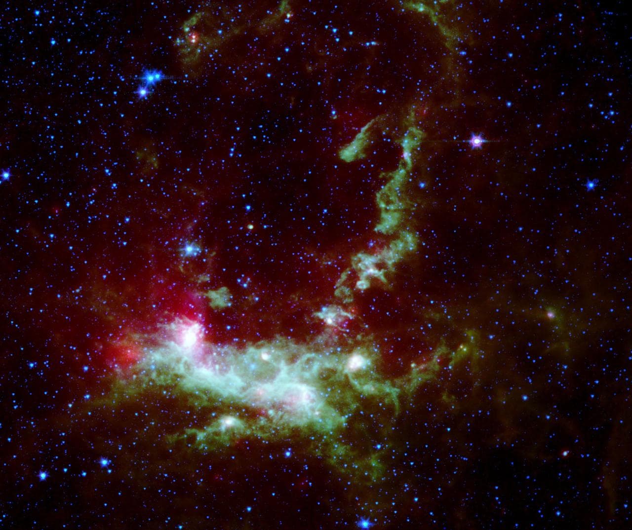 Star Formation in Henize 206
