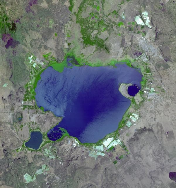 Lake Naivasha, Kenya