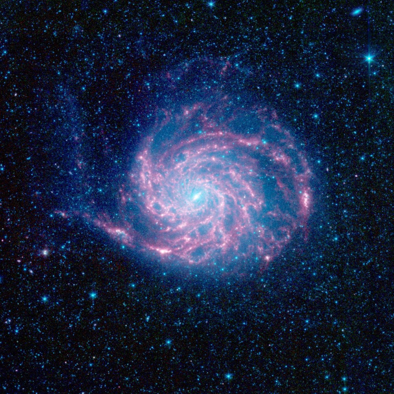 Pinwheel Looks Fab in Infrared