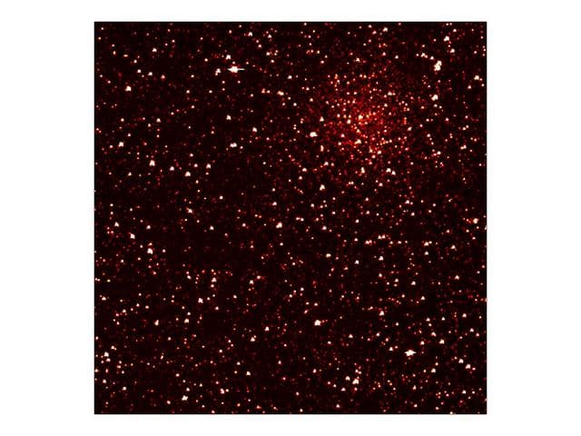 Cluster of Stars in Kepler Sight